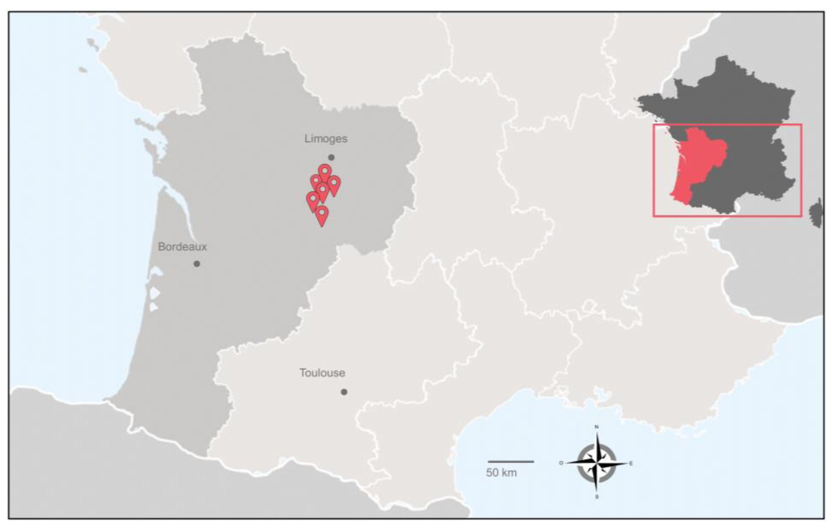 Animals 13 01781 g001