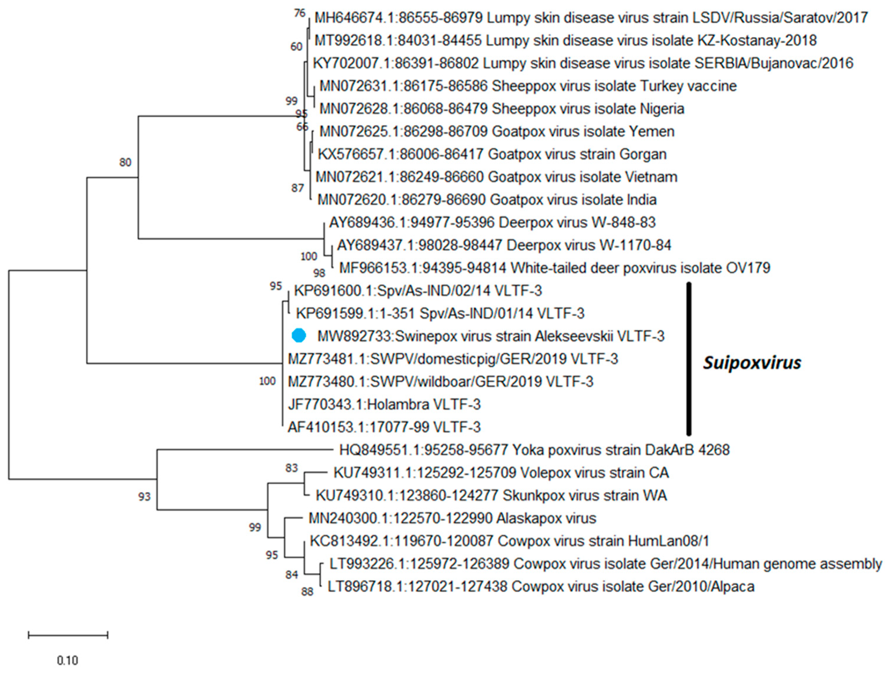 Animals 13 01786 g001