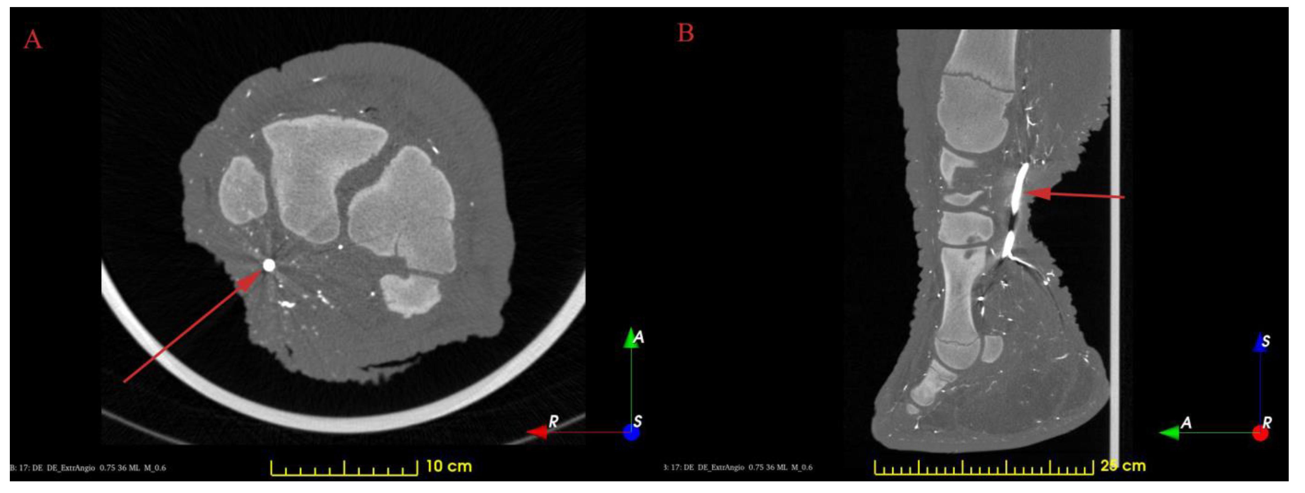 Animals 13 01789 g001