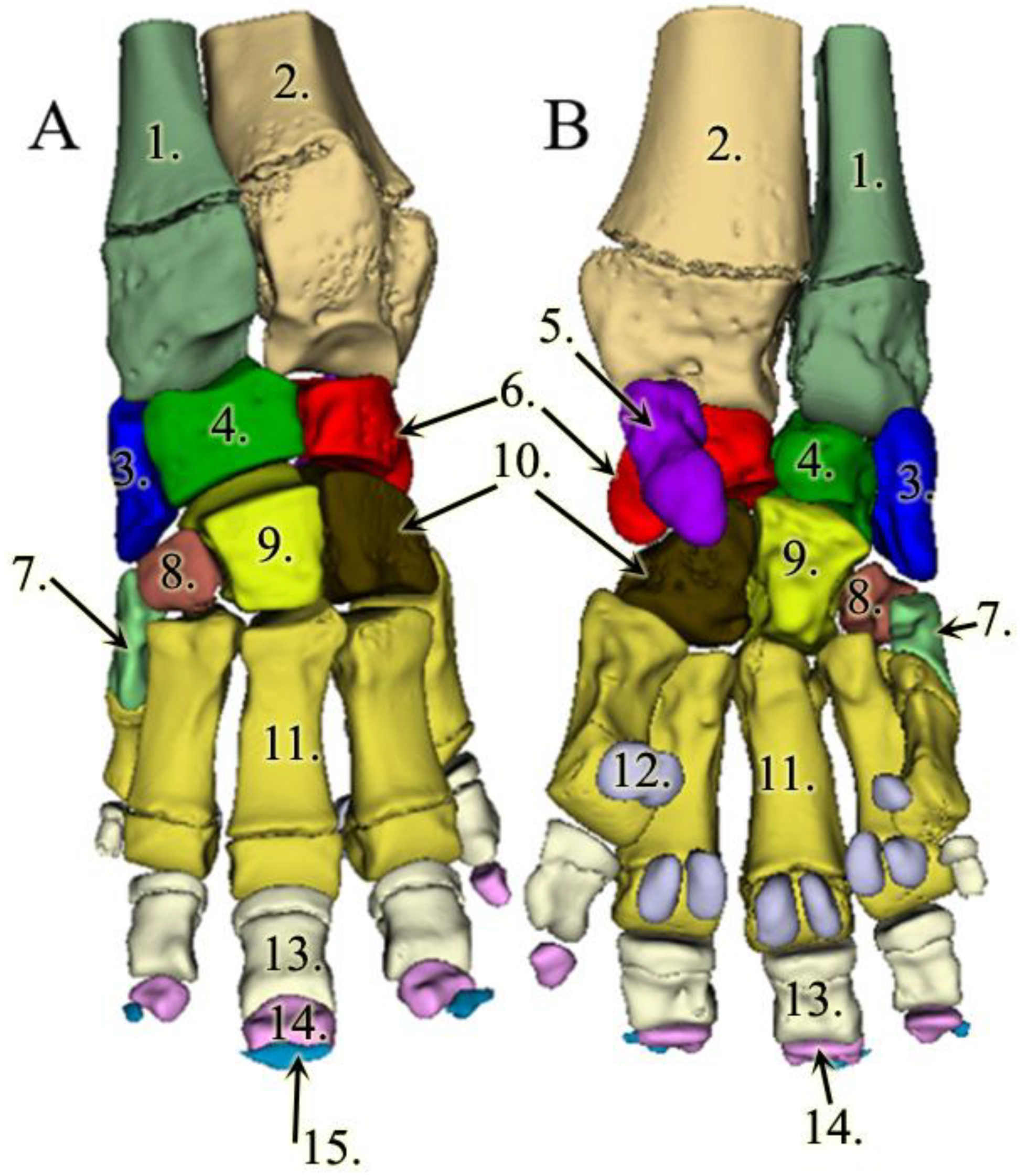 Animals 13 01789 g002