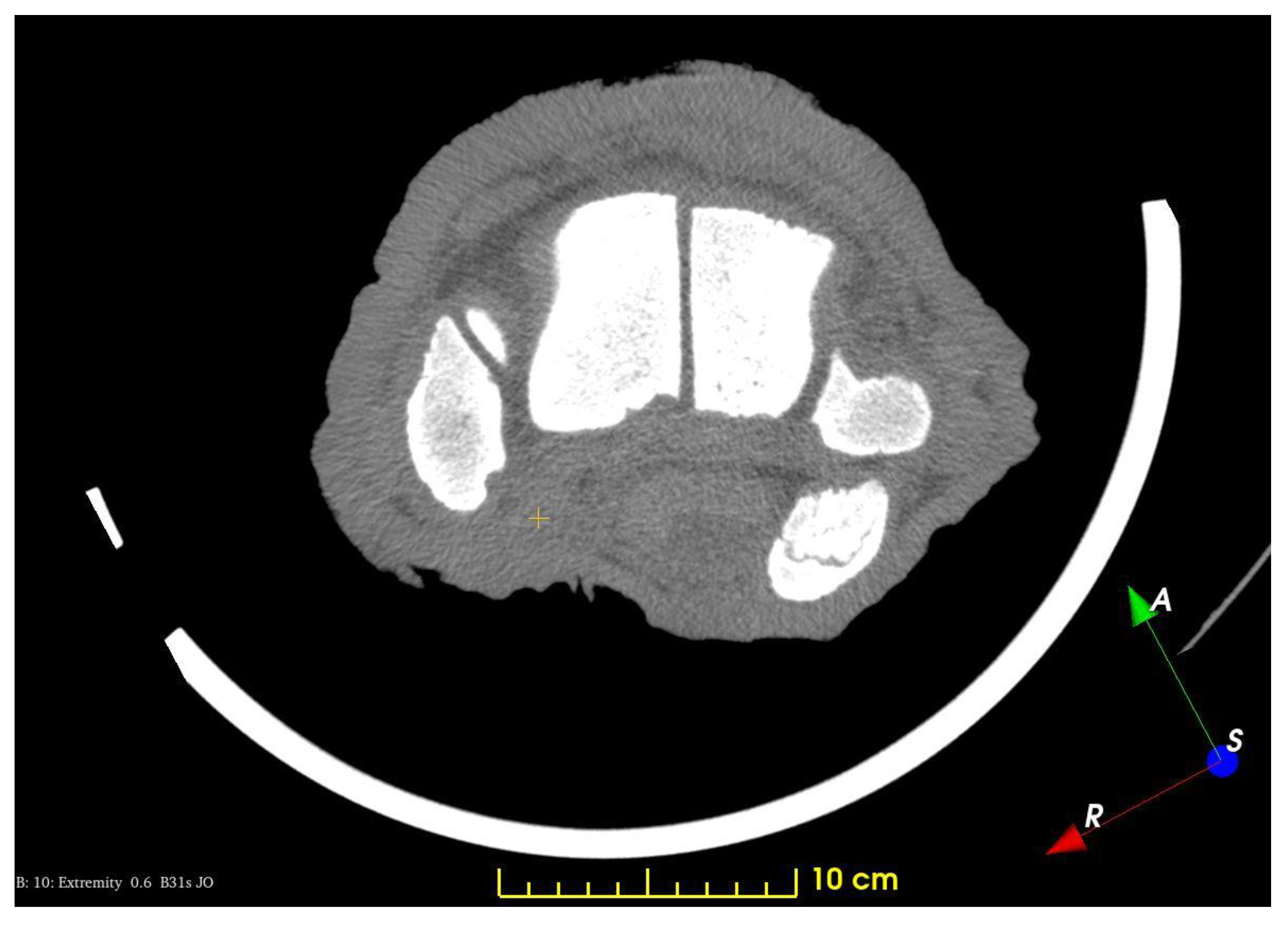 Animals 13 01789 g003