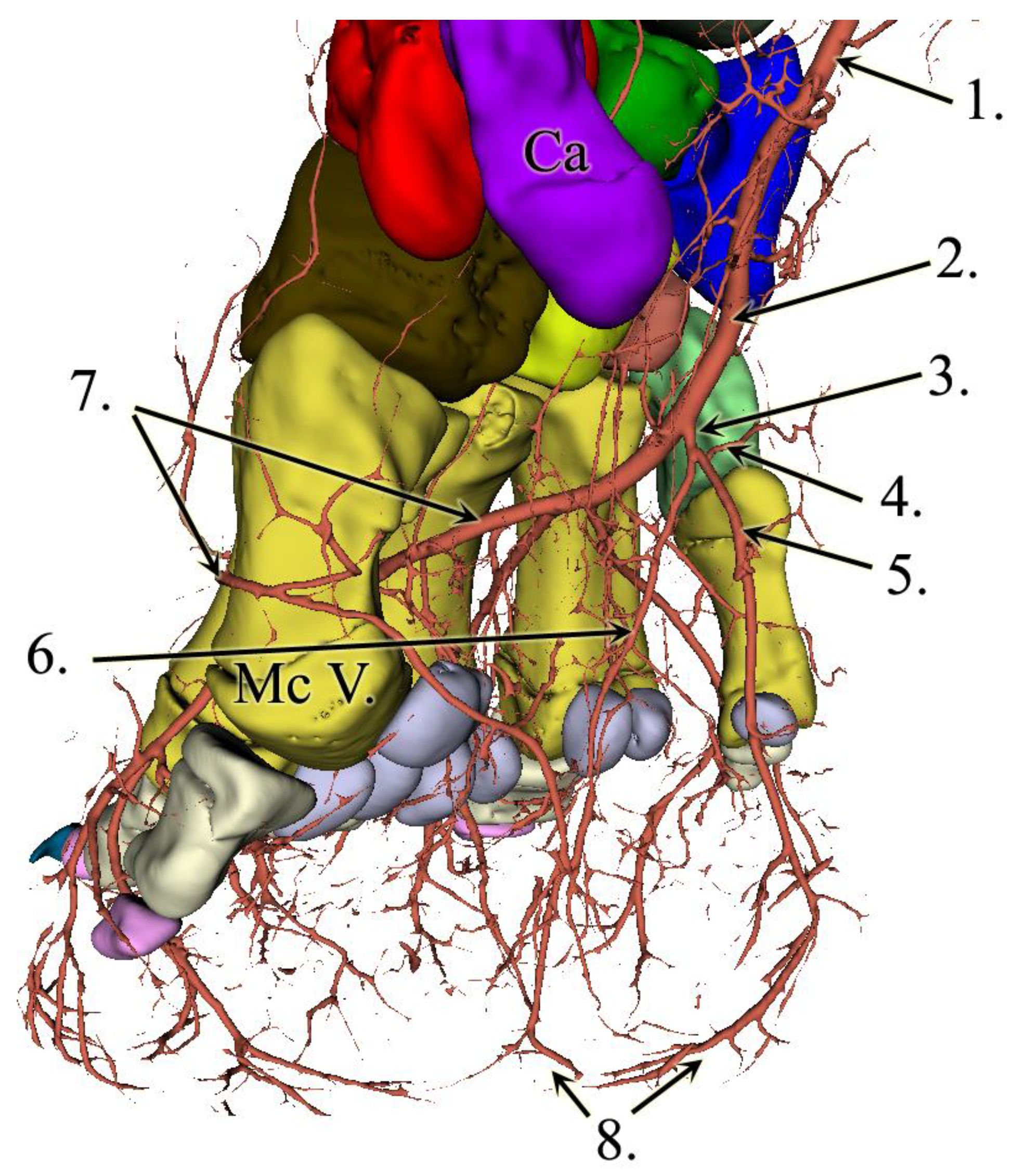 Animals 13 01789 g004