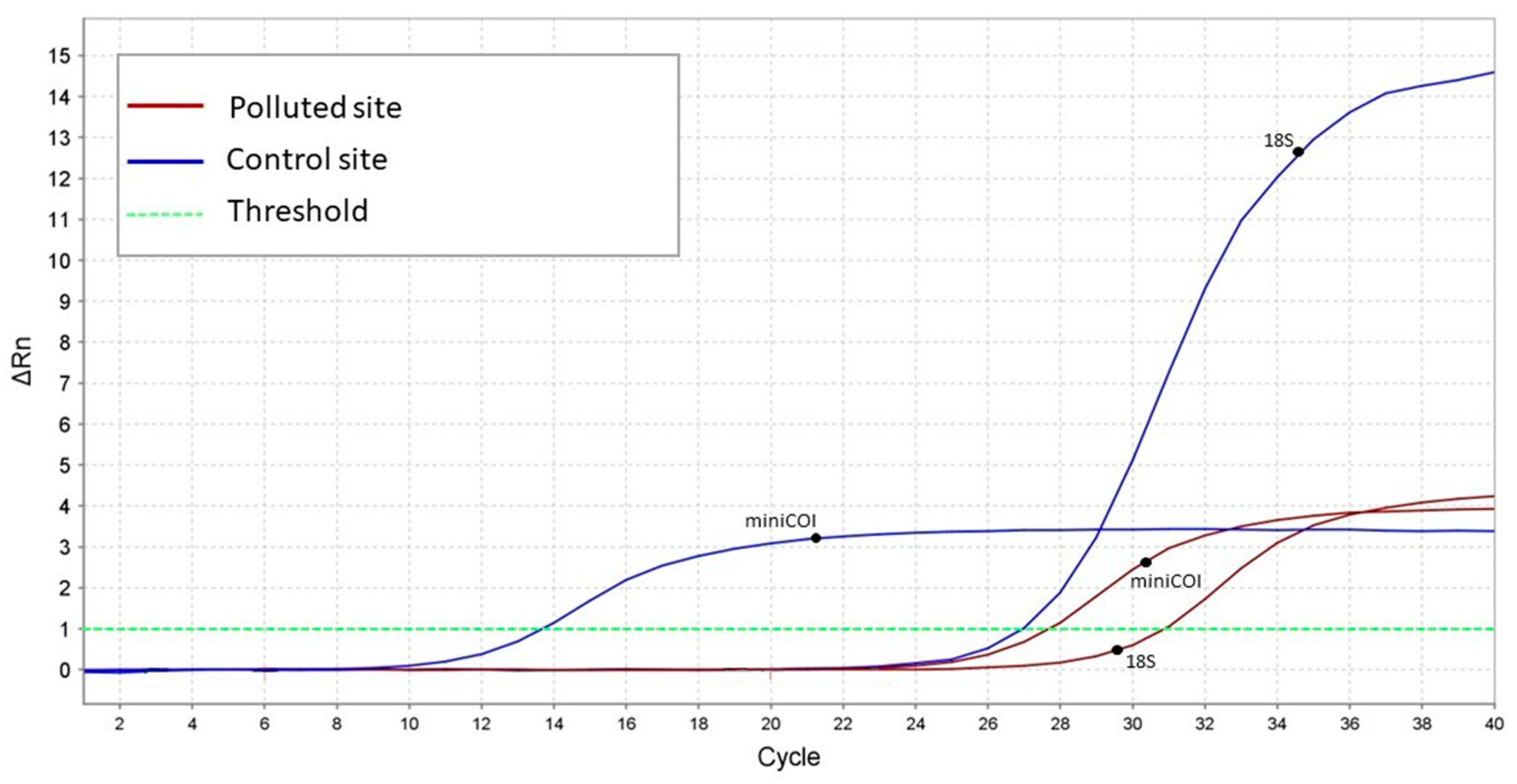 Animals 13 01793 g002 Animals 13 01793 g002