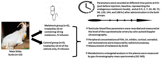 how to take melanotan injections 10ml II Research Peptide: Purity & Quality Assurance 5 Vial Melanotan 2 Tanning