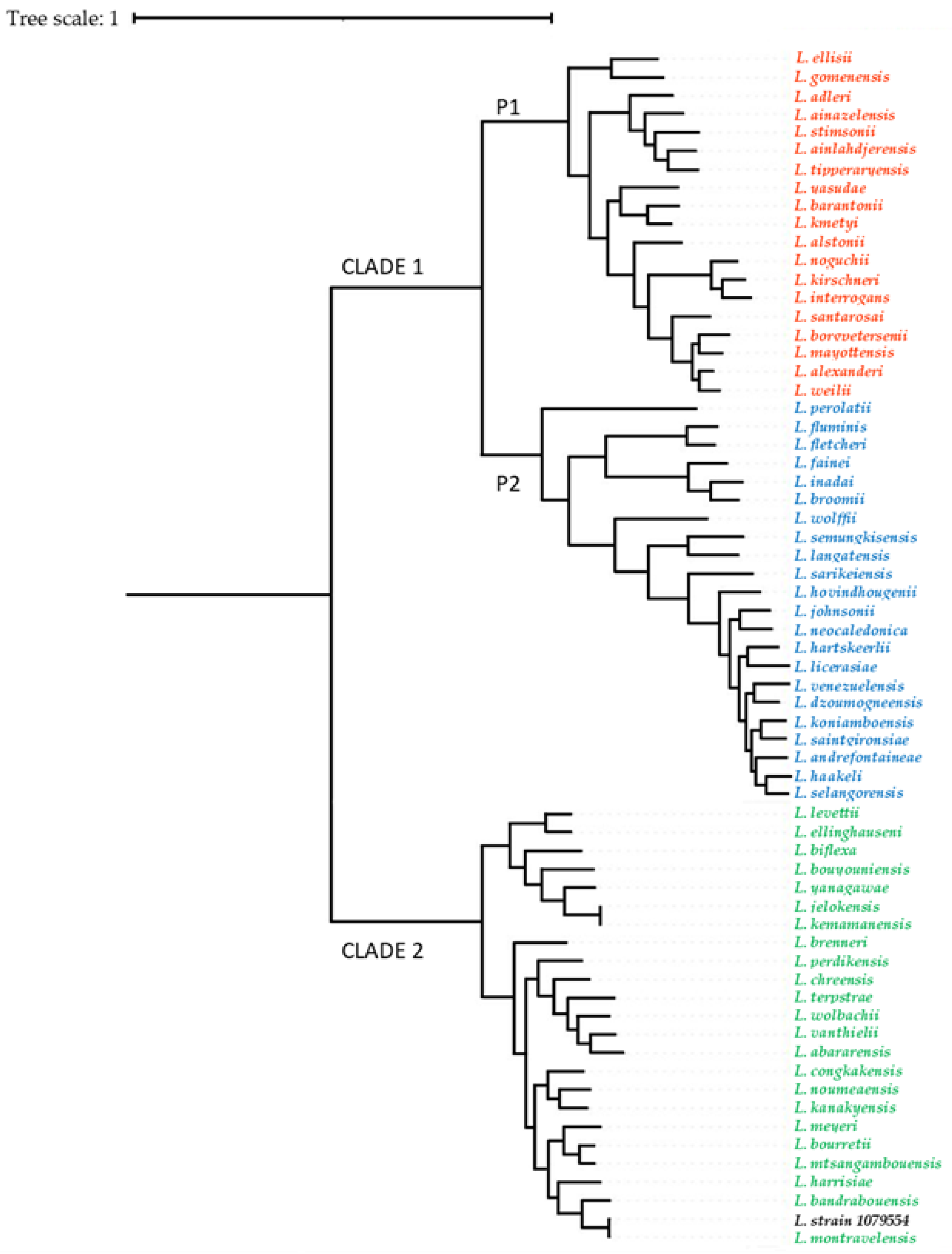 Animals 13 01803 g002 Animals 13 01803 g002