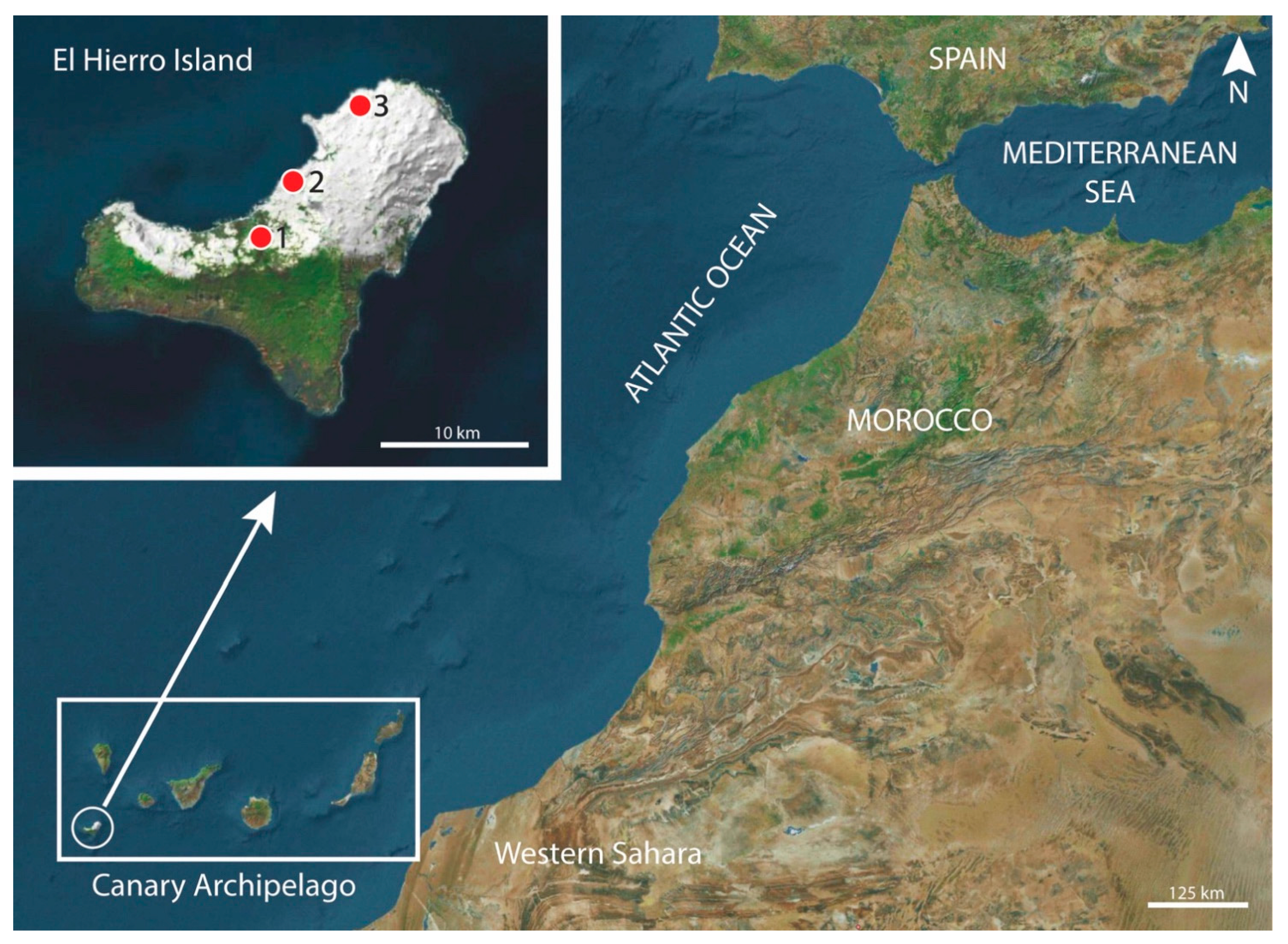 Animals 13 01806 g001