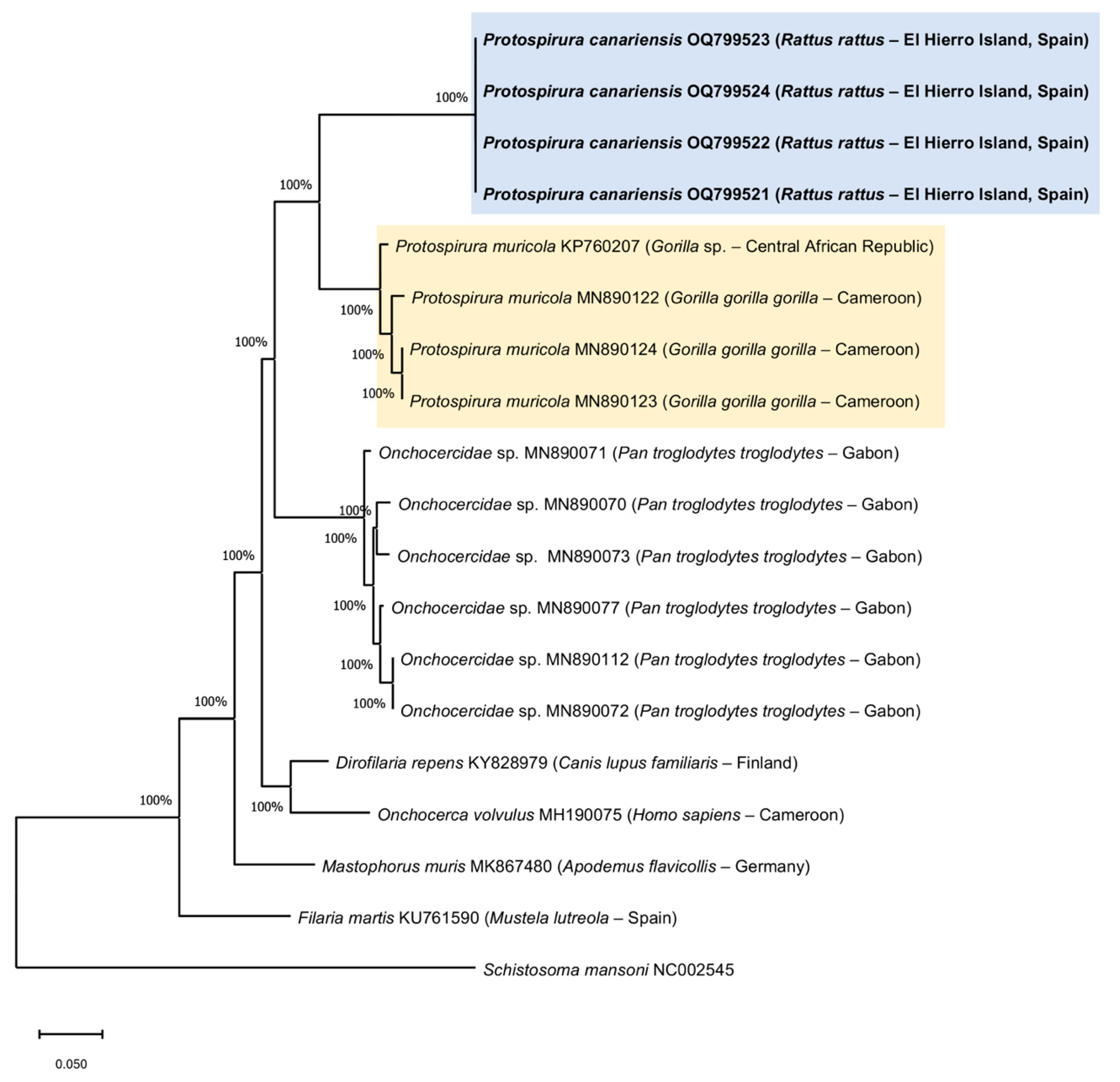 Animals 13 01806 g007
