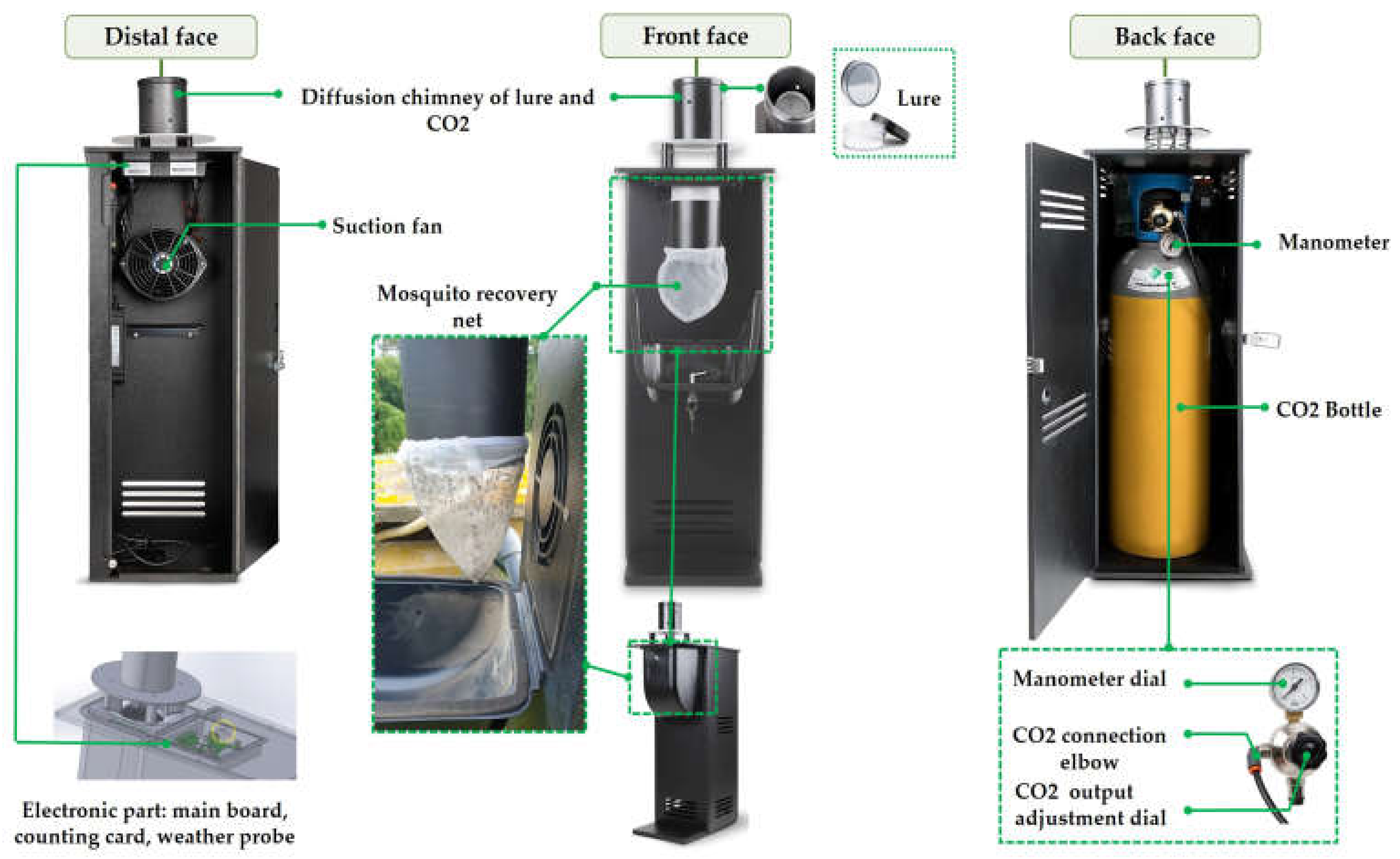 Animals 13 01809 g002 Animals 13 01809 g002