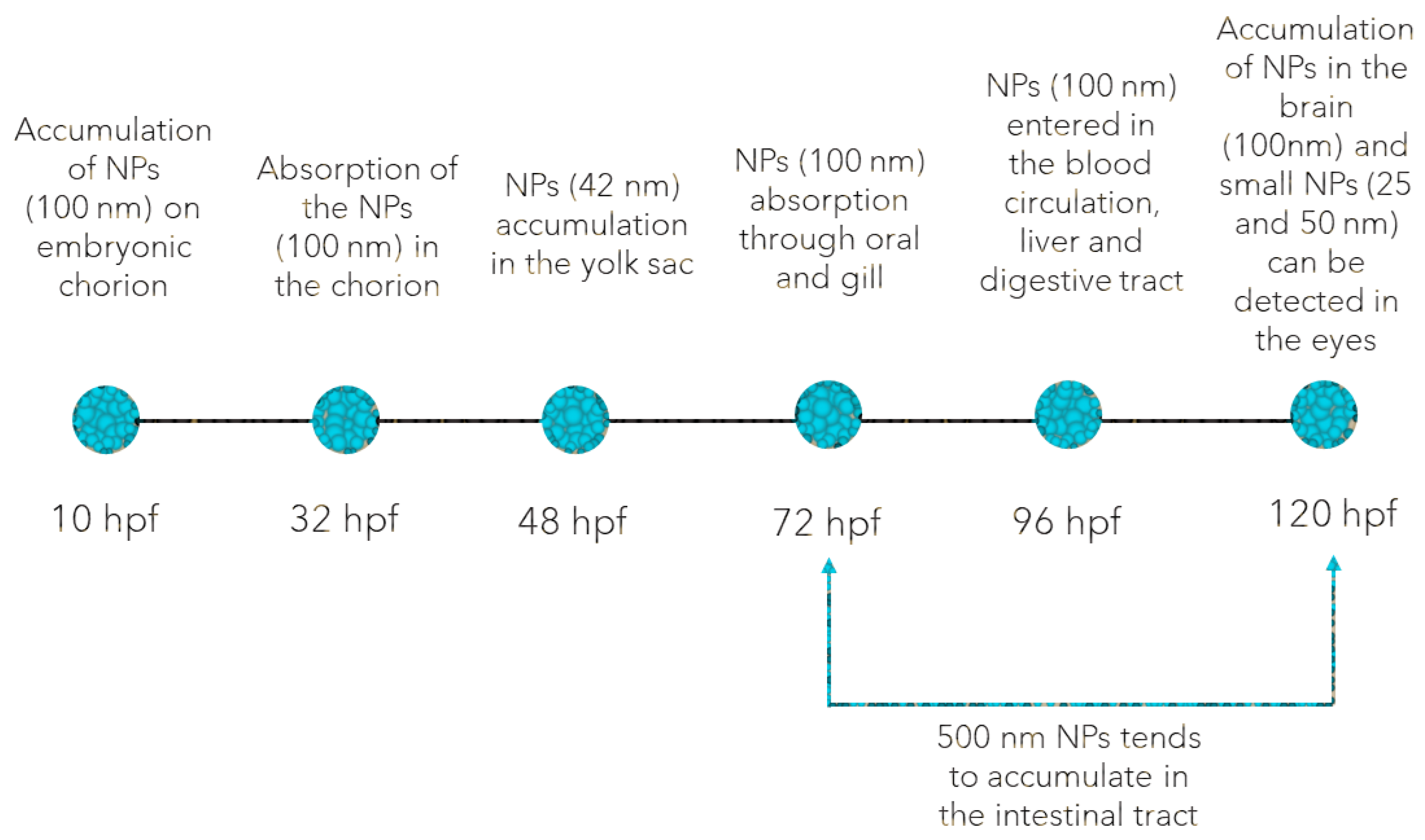 Animals 13 01810 g001 Animals 13 01810 g001