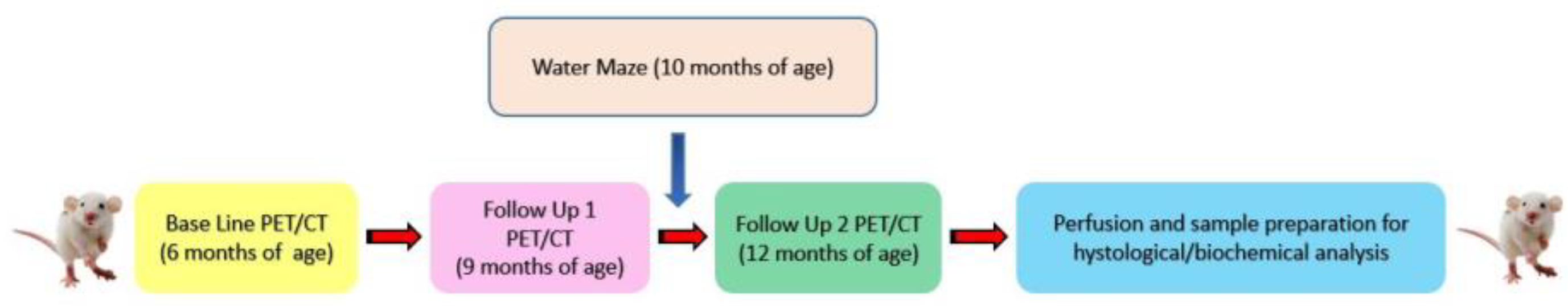 Animals 13 01812 g001