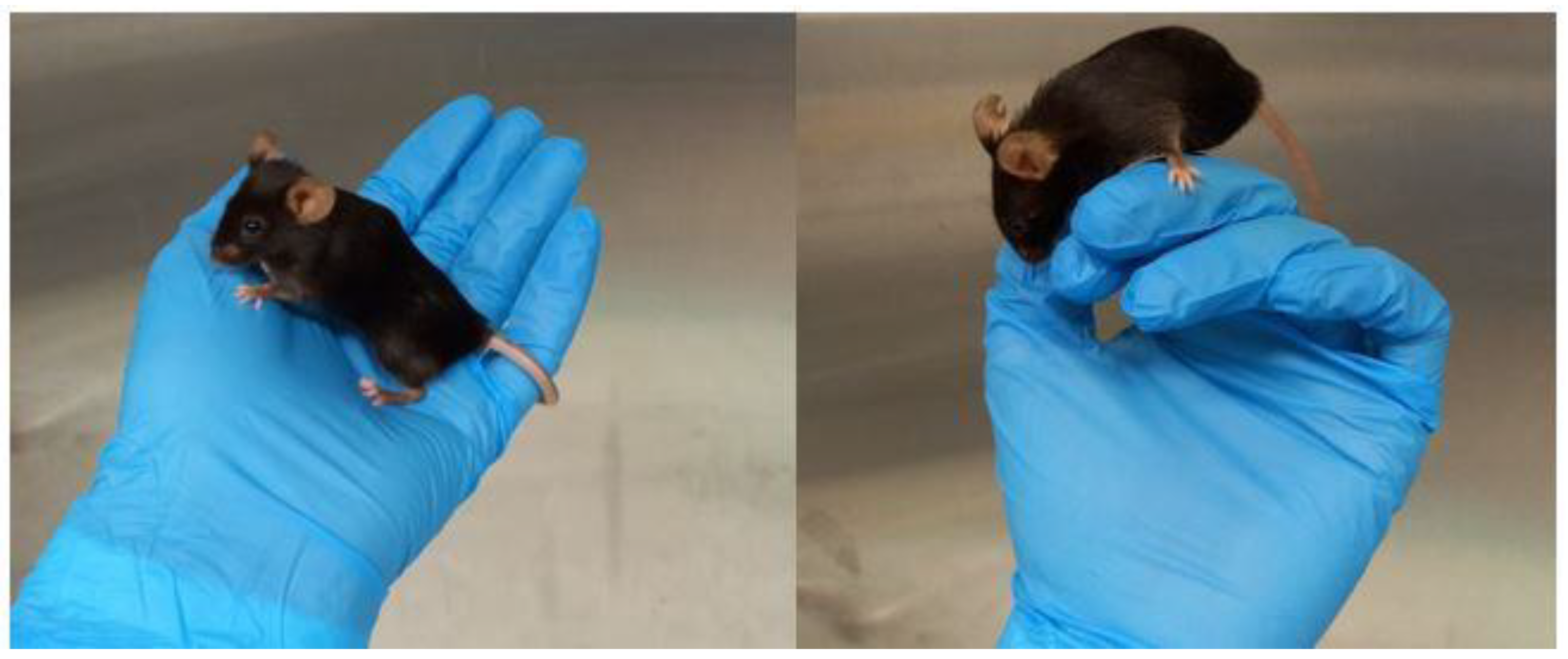 Animals 13 01812 g003