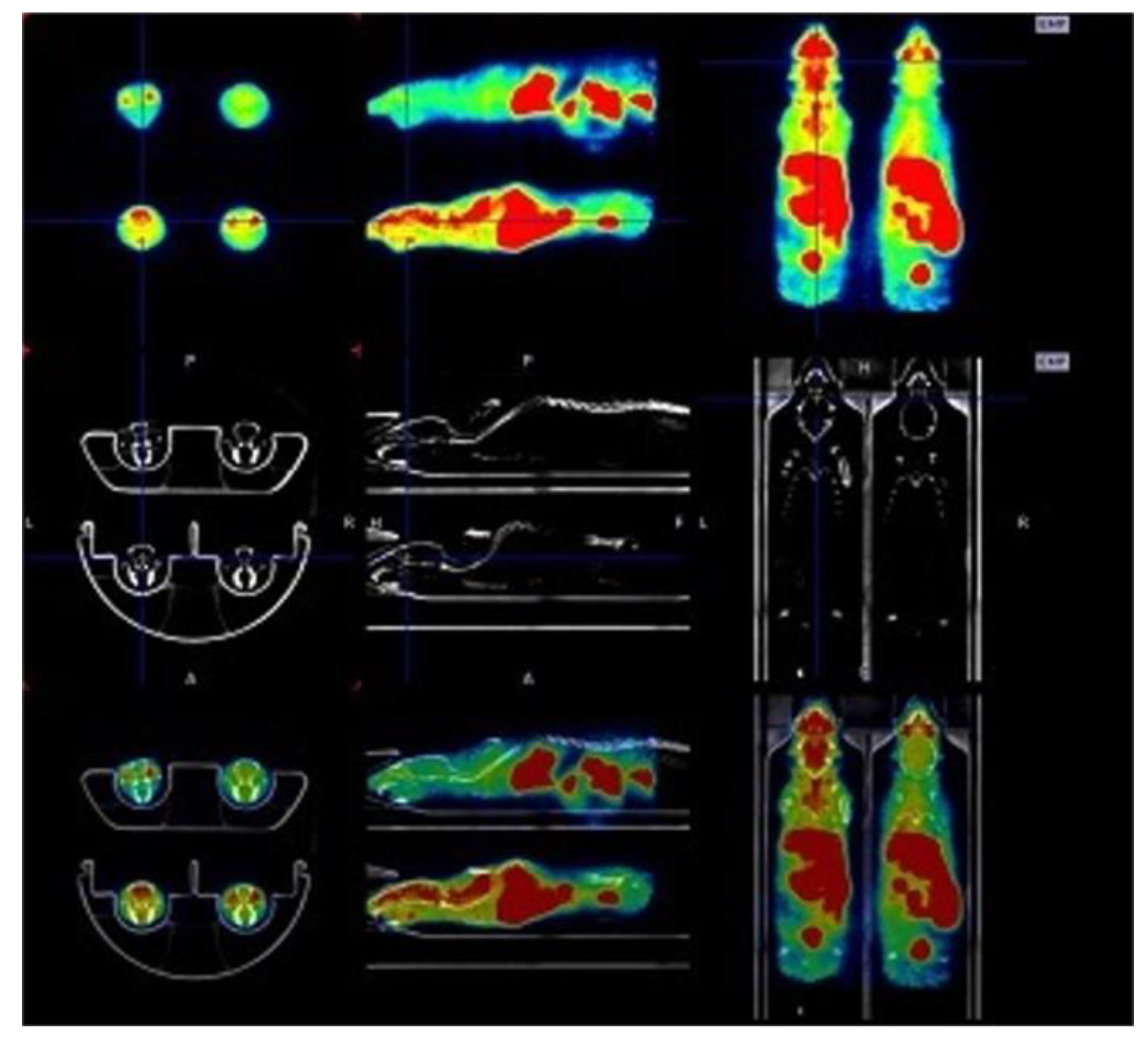 Animals 13 01812 g005