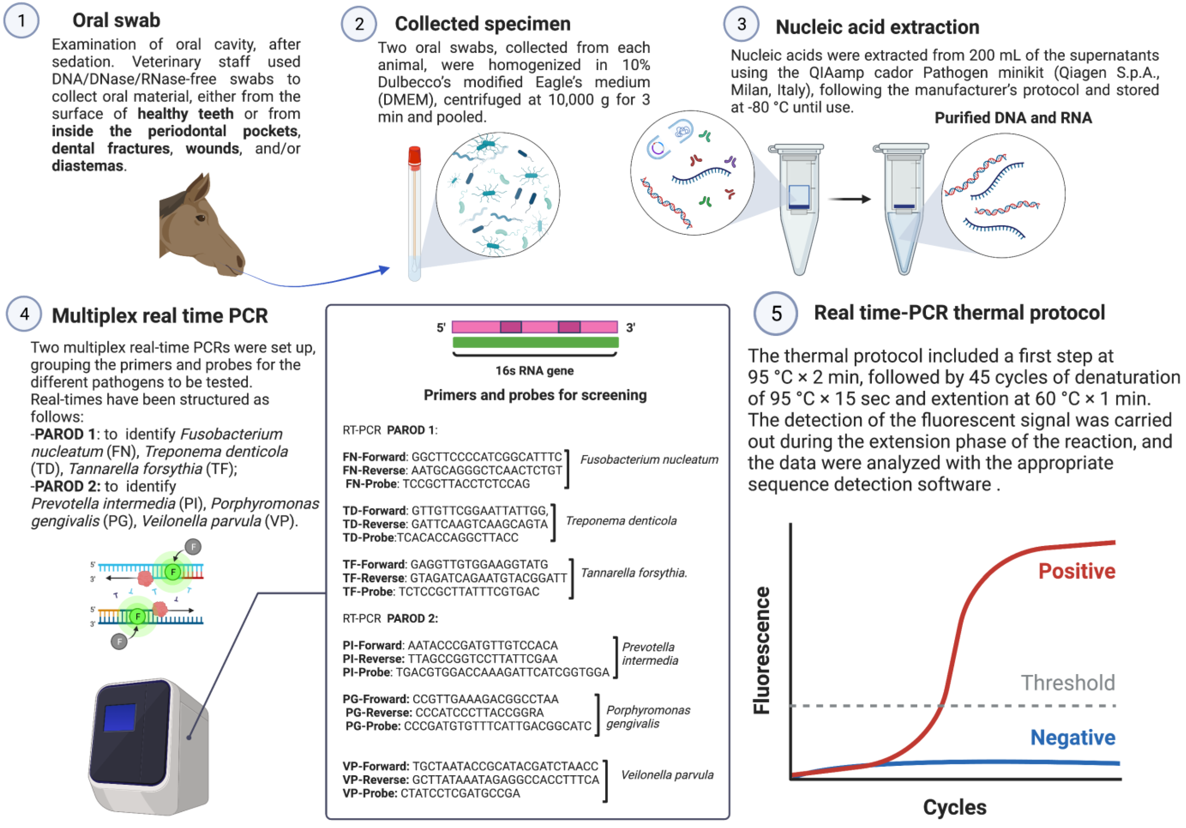 Animals 13 01814 g001 Animals 13 01814 g001