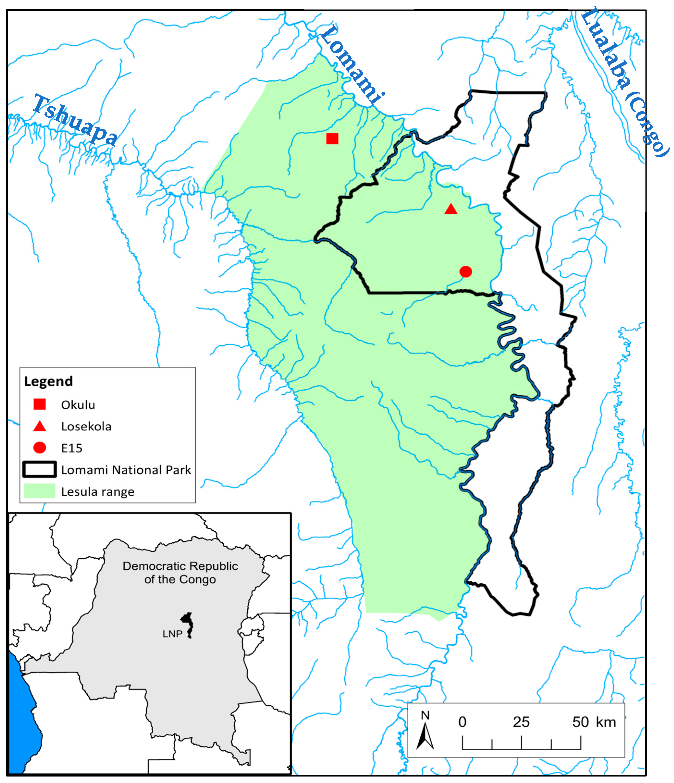 Factors influencing terrestriality in primates of the Americas and  Madagascar