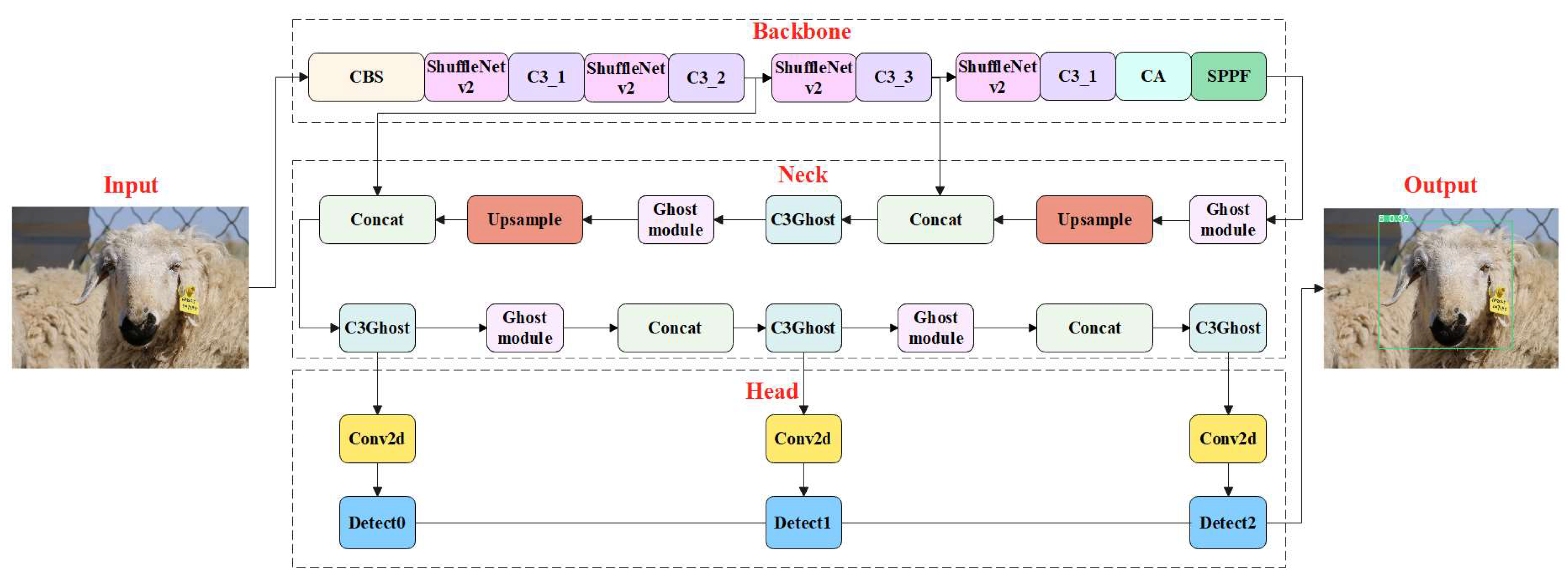 Animals 13 01824 g003 Animals 13 01824 g003
