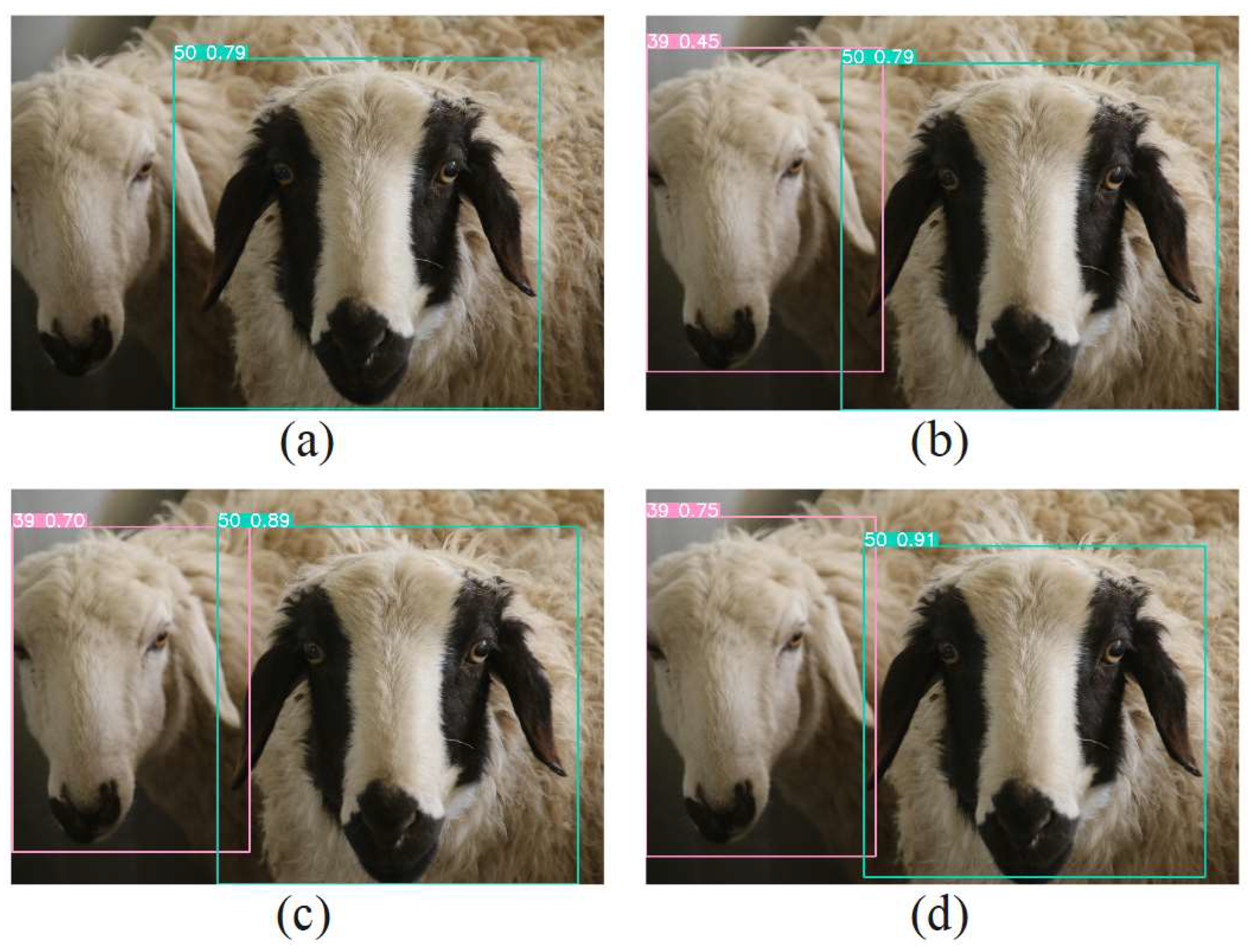 Animals 13 01824 g012 Animals 13 01824 g012