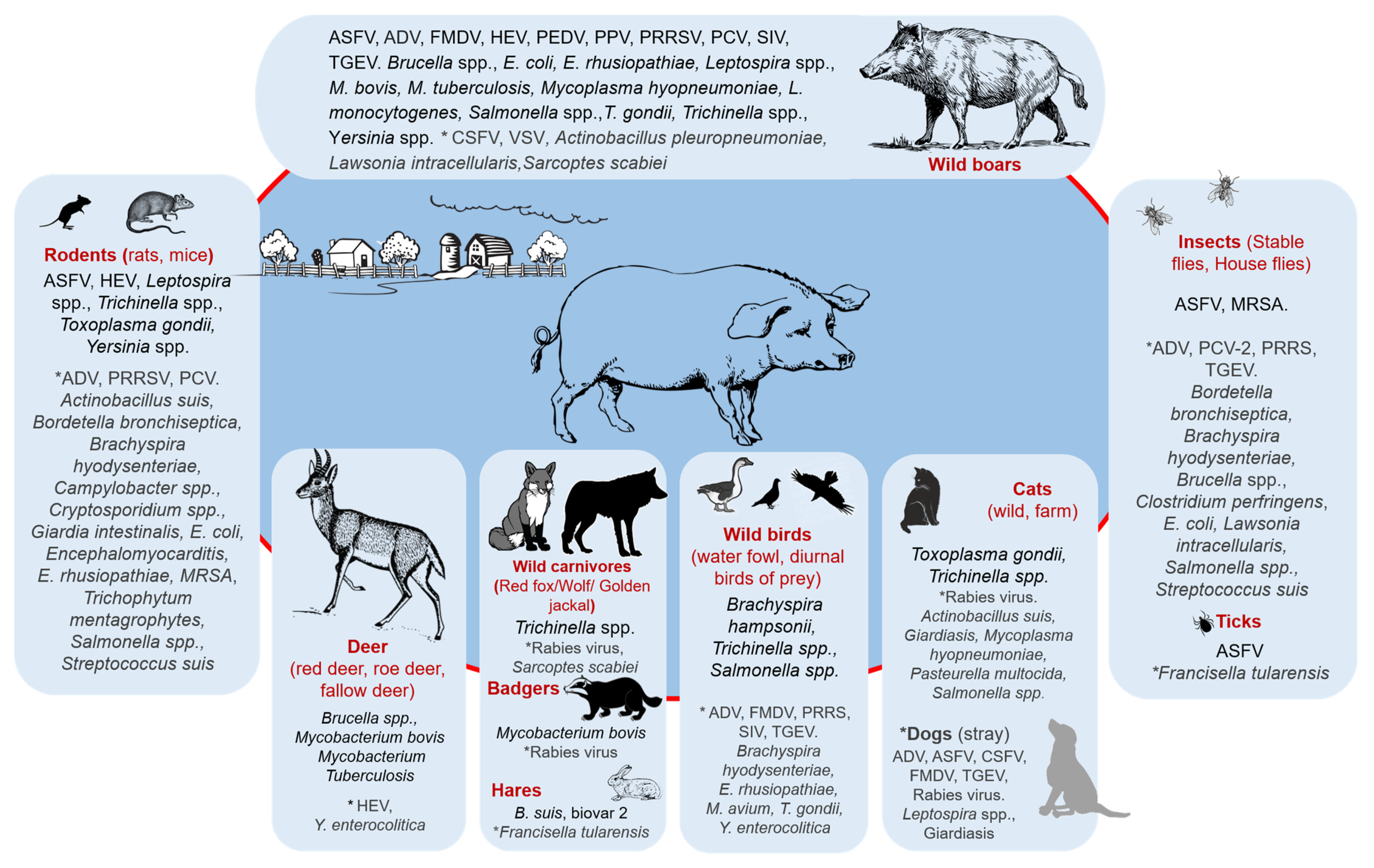 Animals 13 01830 g005