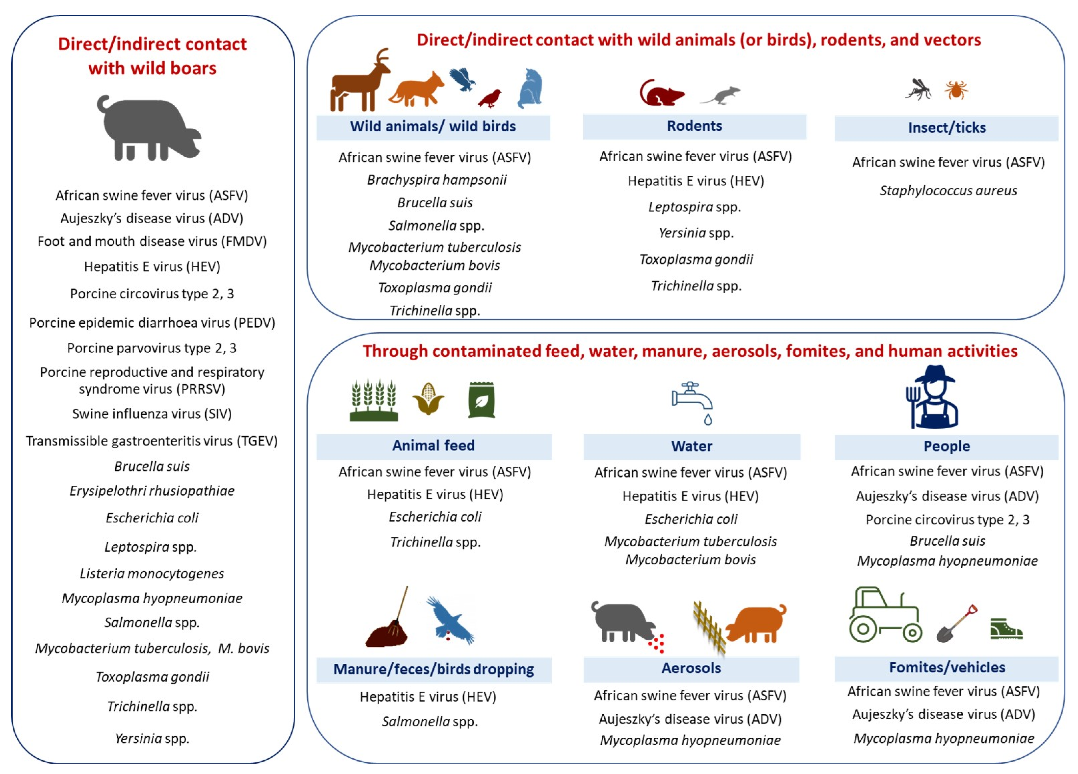 Animals 13 01830 g006