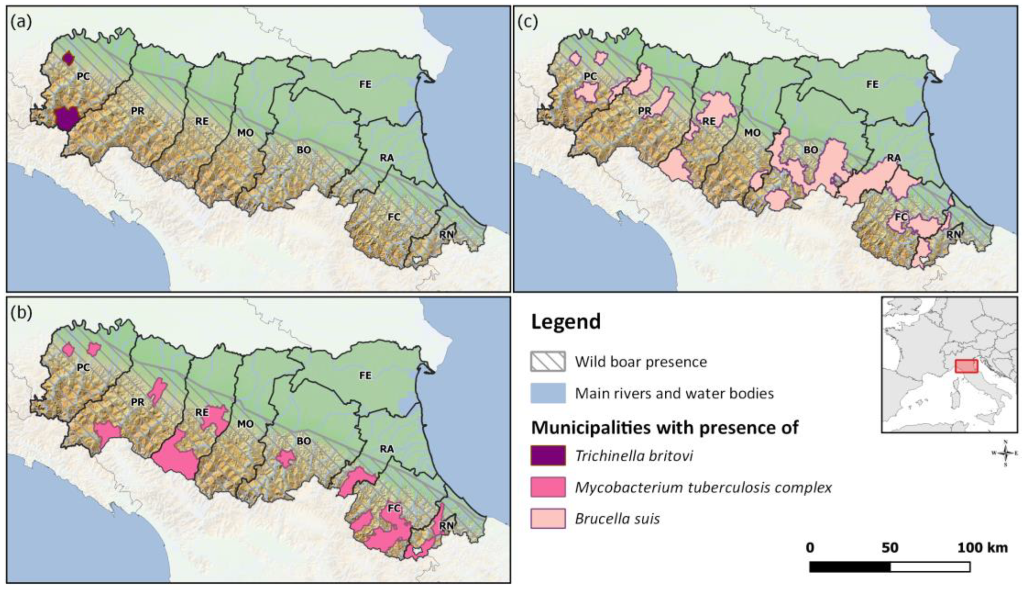 Animals 13 01832 g001