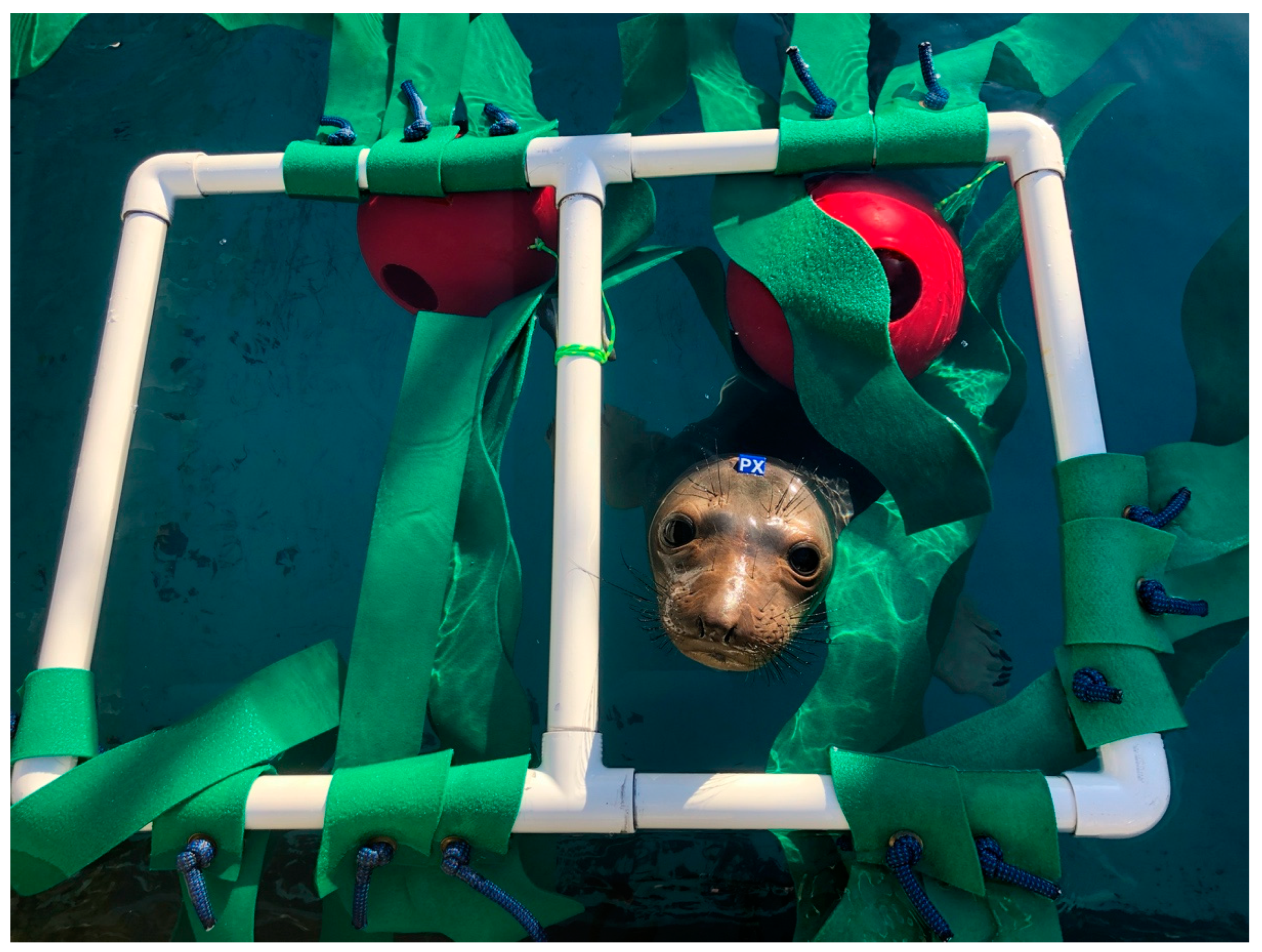 Animals 13 01836 g005