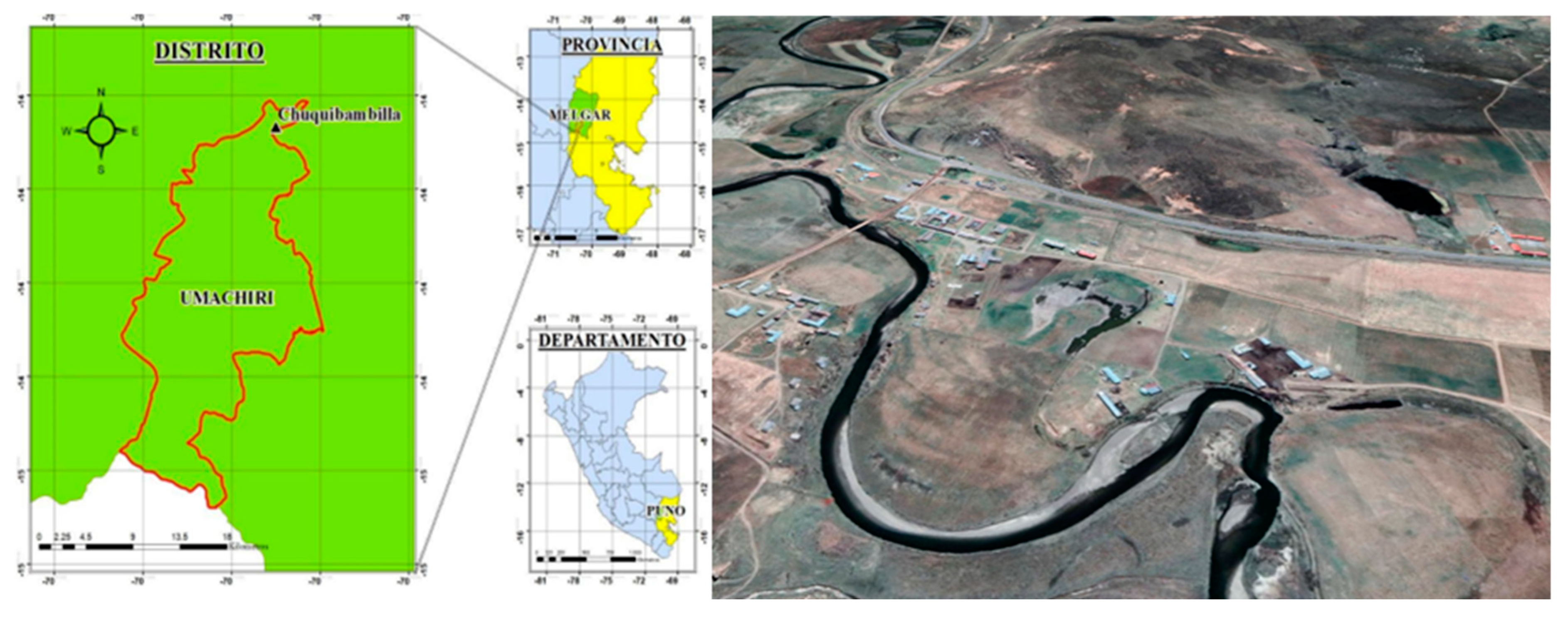 Animals 13 01843 g001