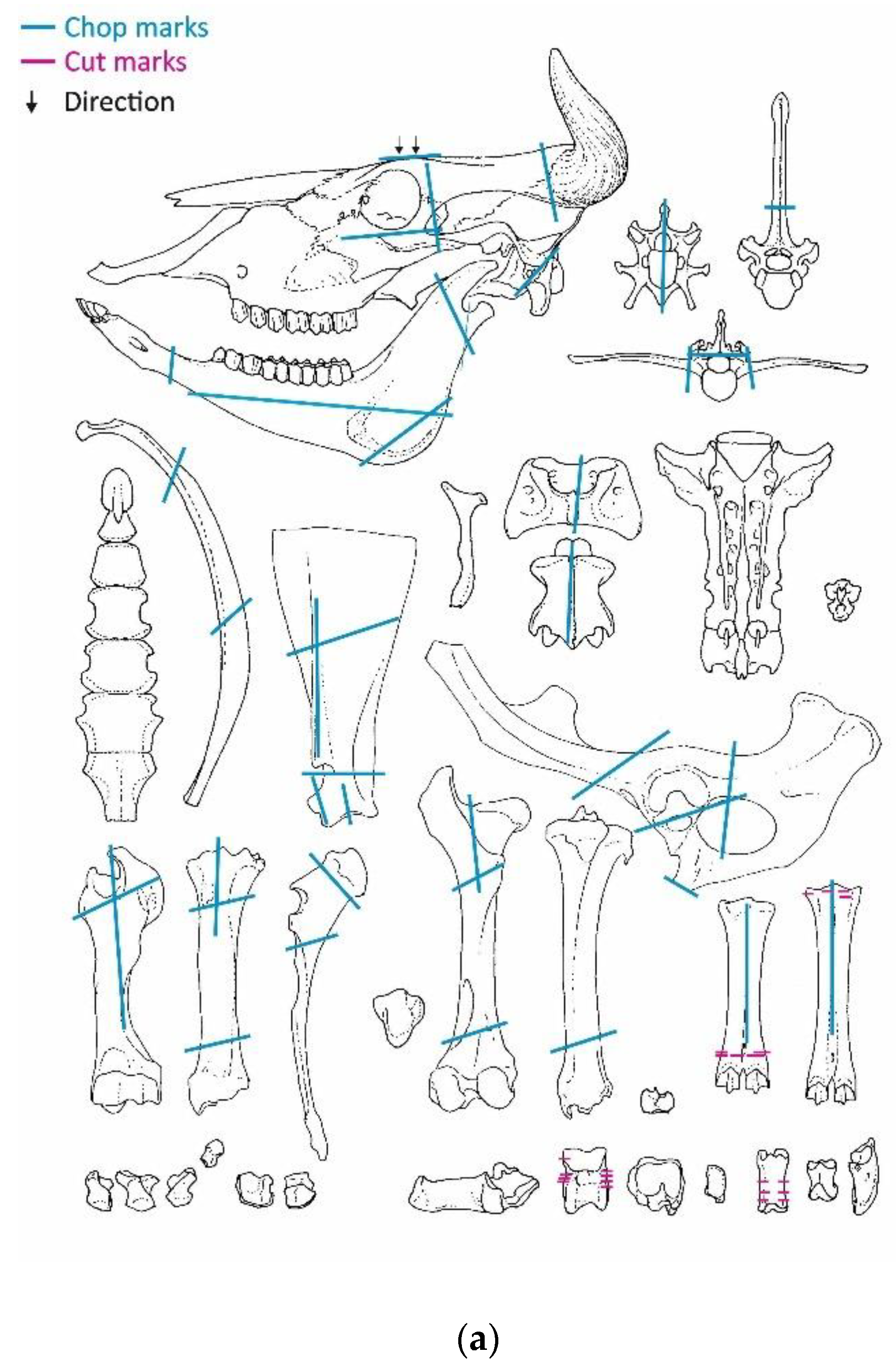 Animals 13 01847 g006a