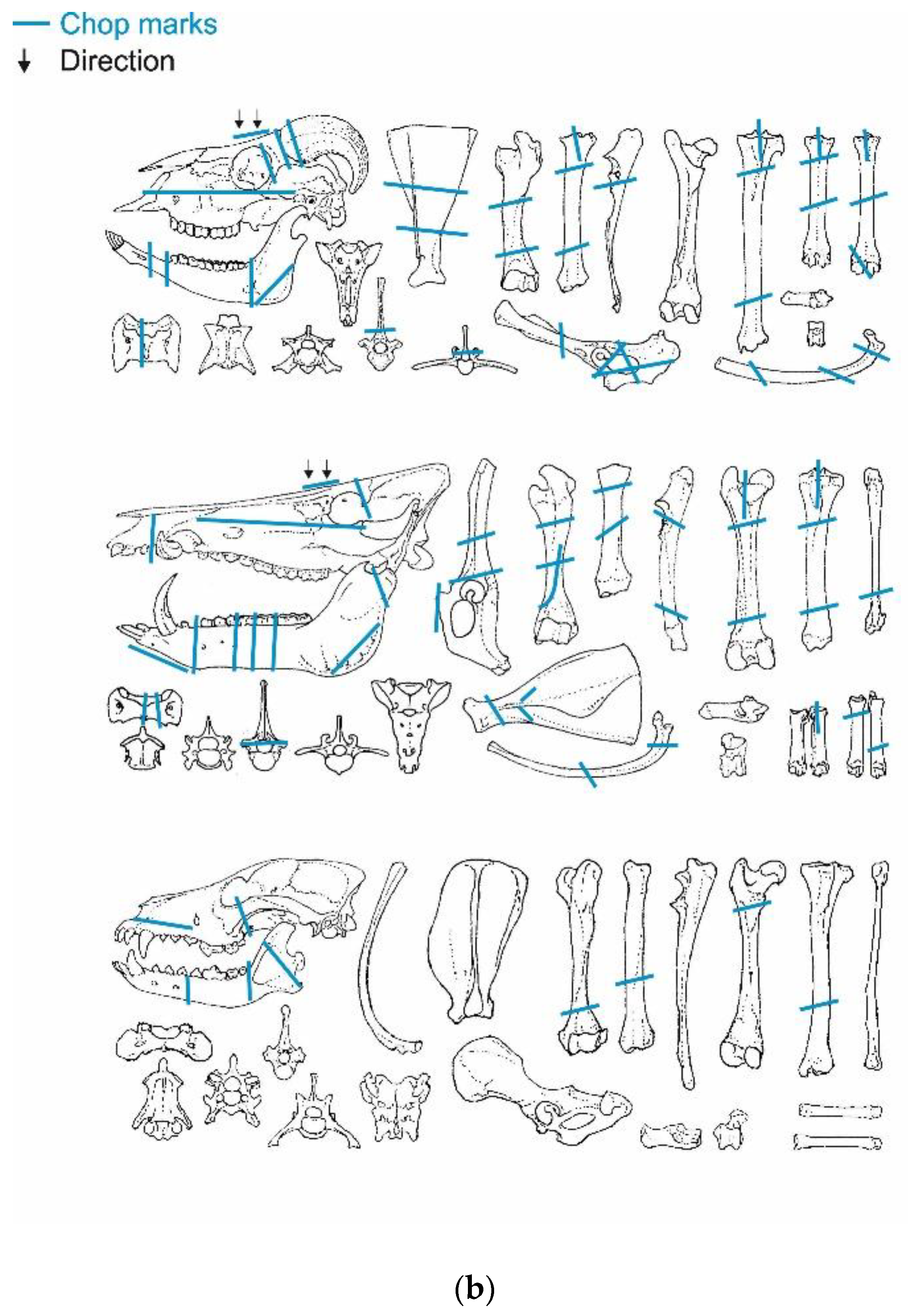 Animals 13 01847 g006b