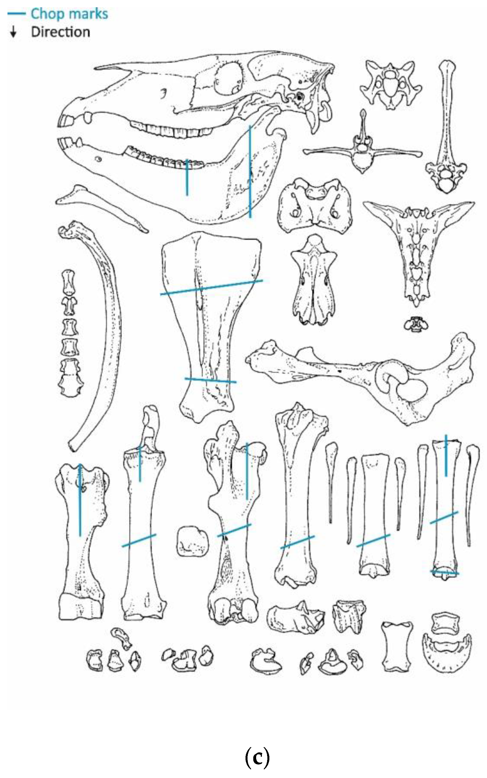 Animals 13 01847 g006c