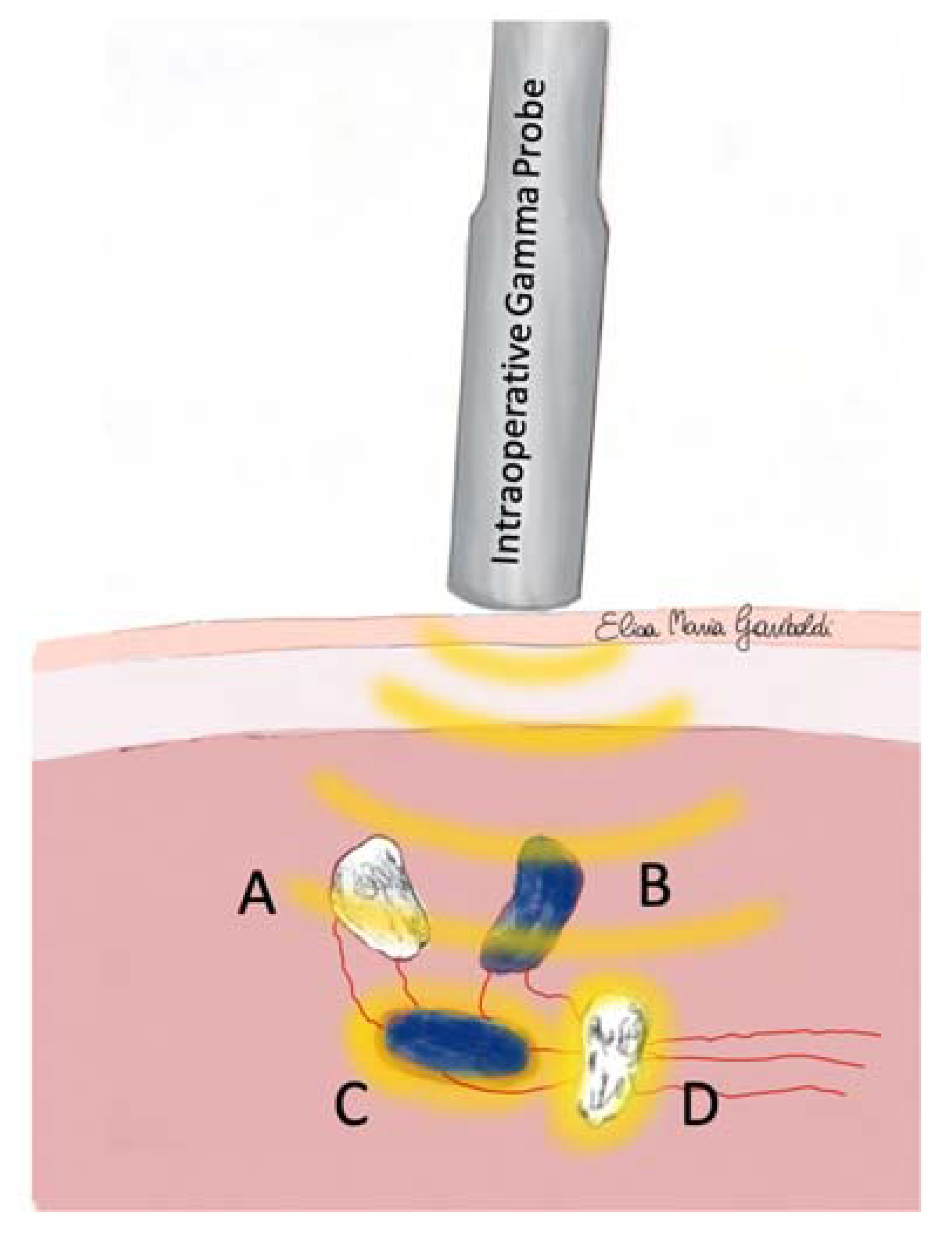 Animals 13 01854 g001 Animals 13 01854 g001