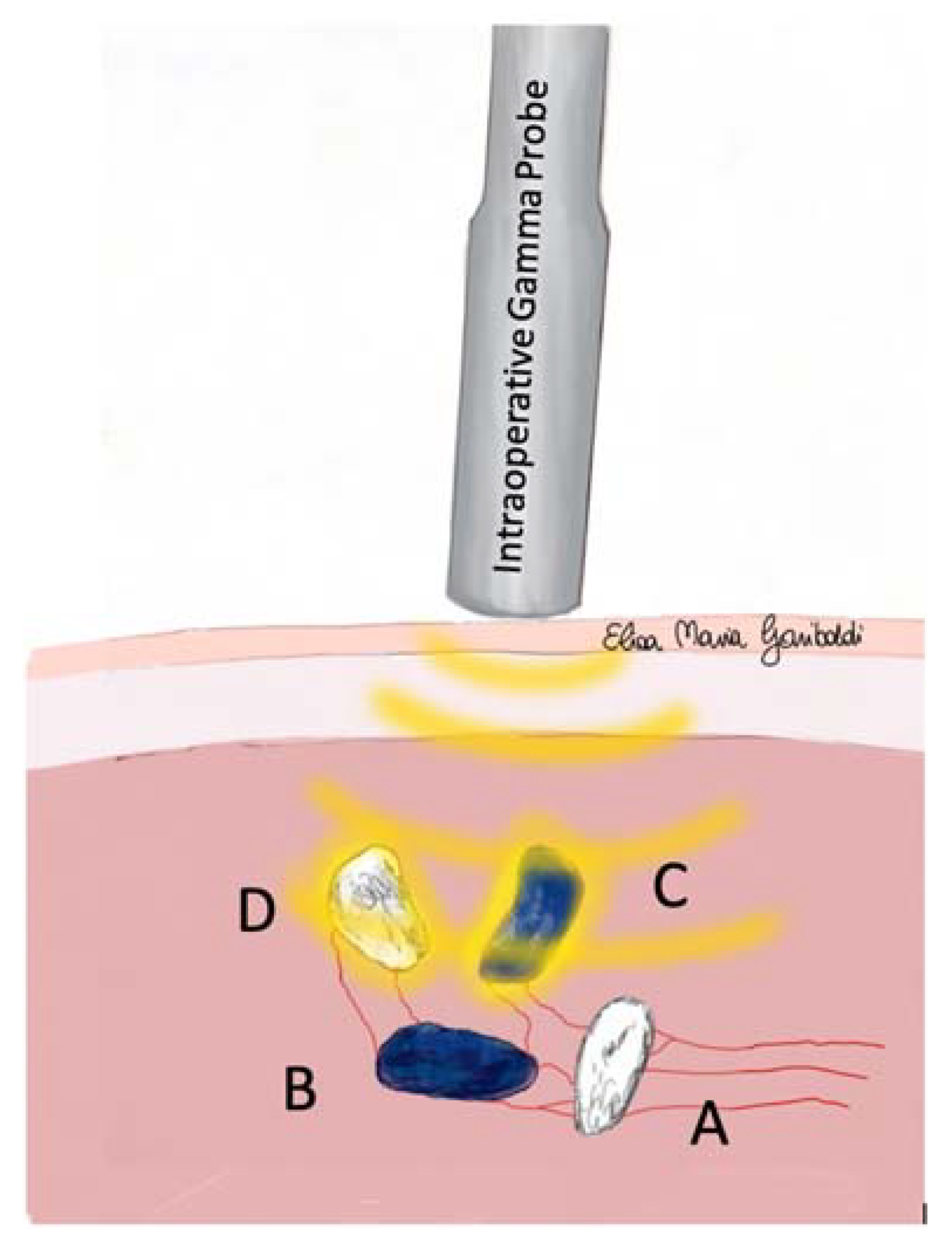 Animals 13 01854 g002 Animals 13 01854 g002