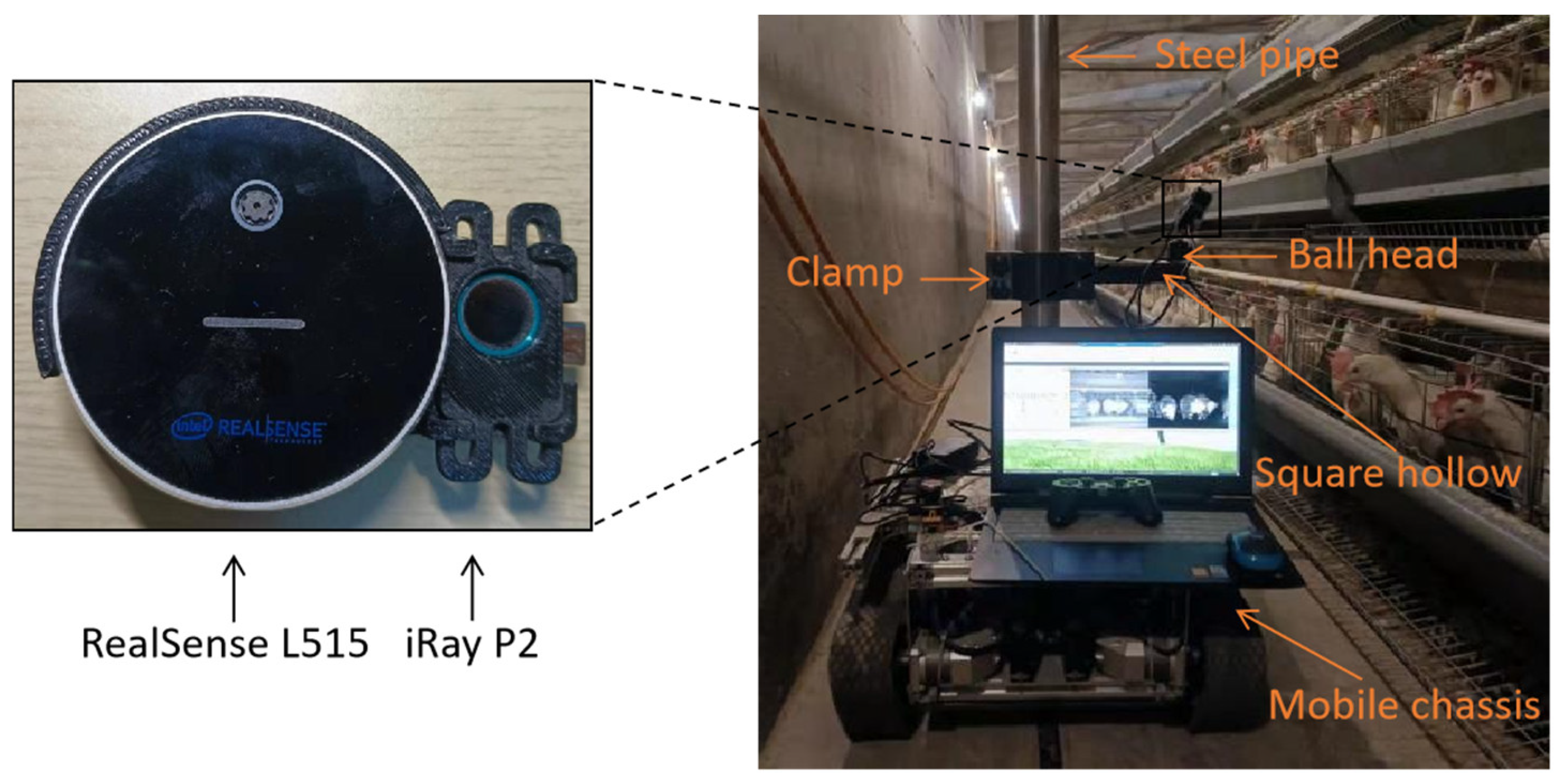 Animals 13 01861 g002