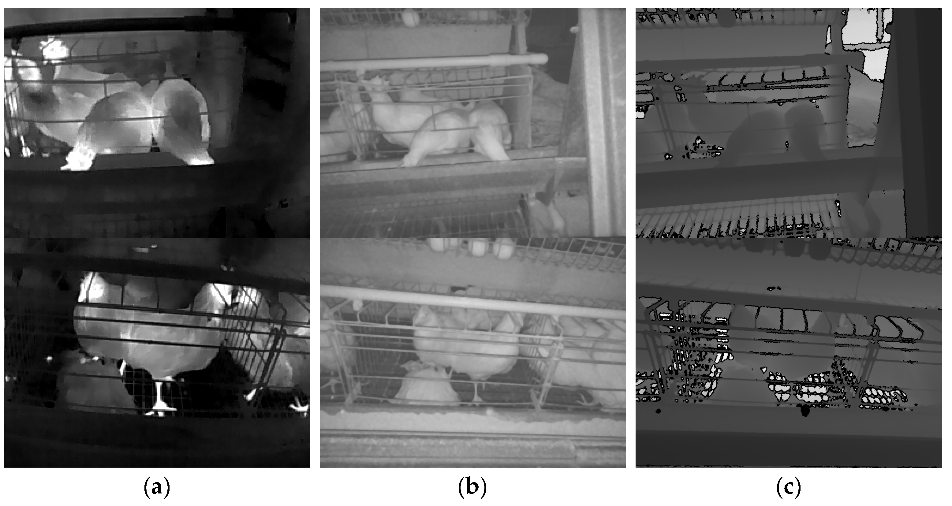 Animals 13 01861 g003