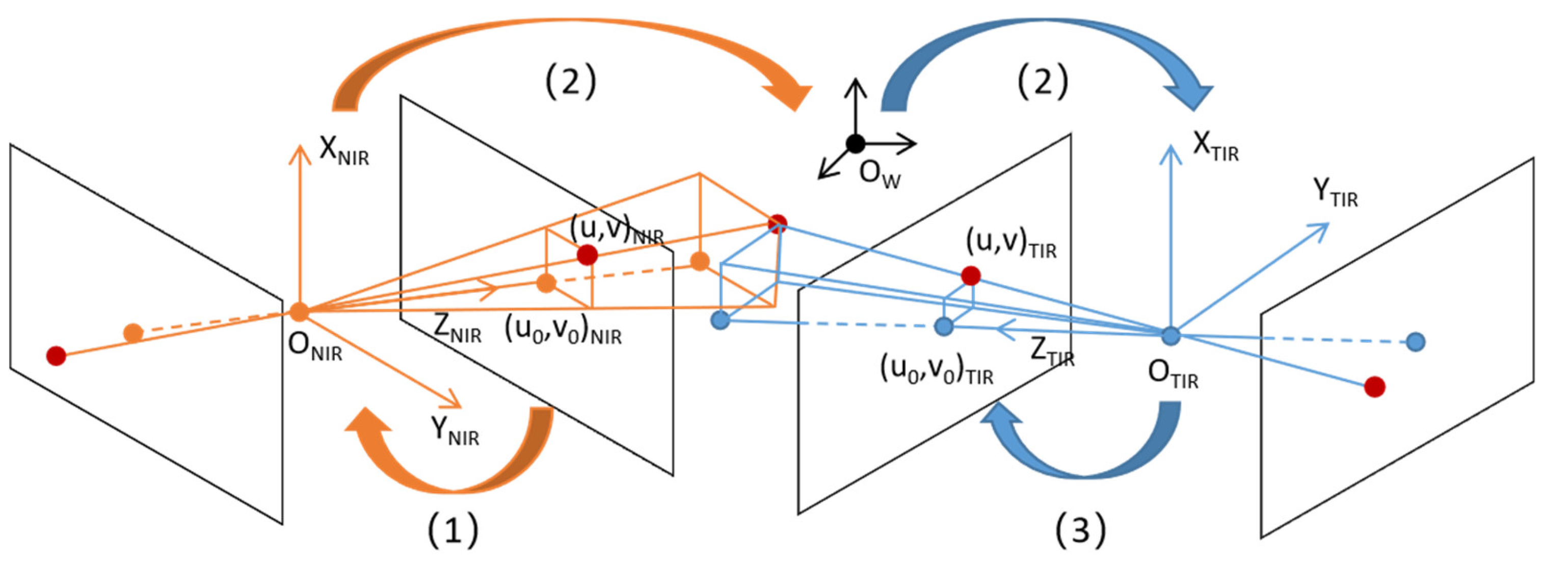 Animals 13 01861 g004