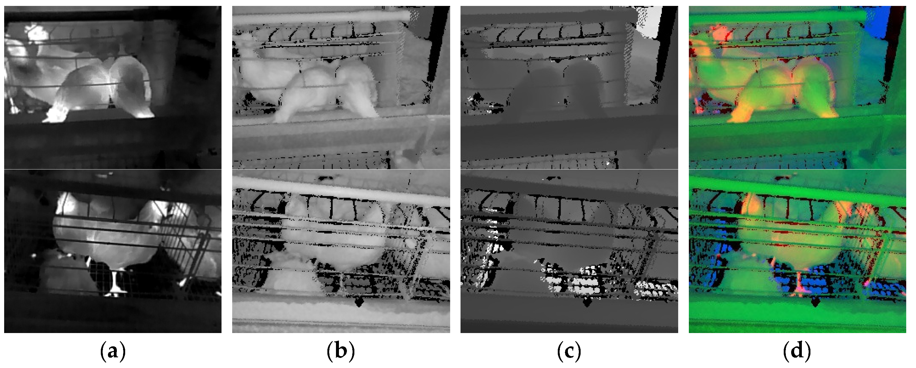 Animals 13 01861 g006