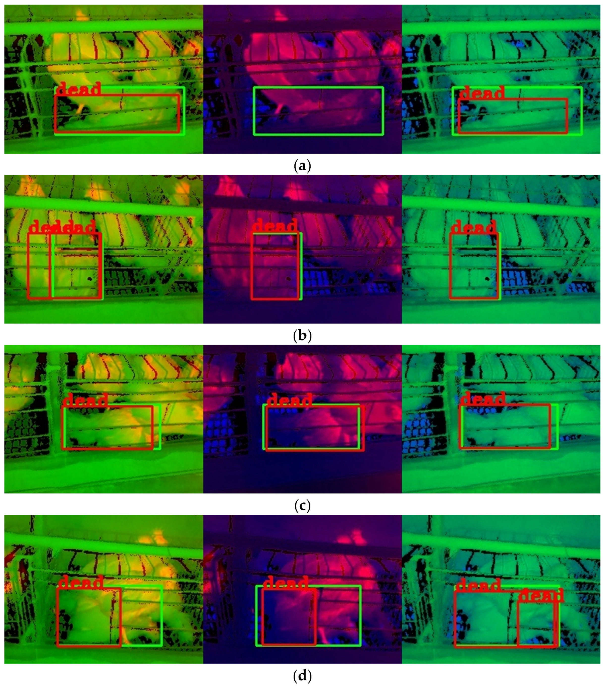 Animals 13 01861 g009a