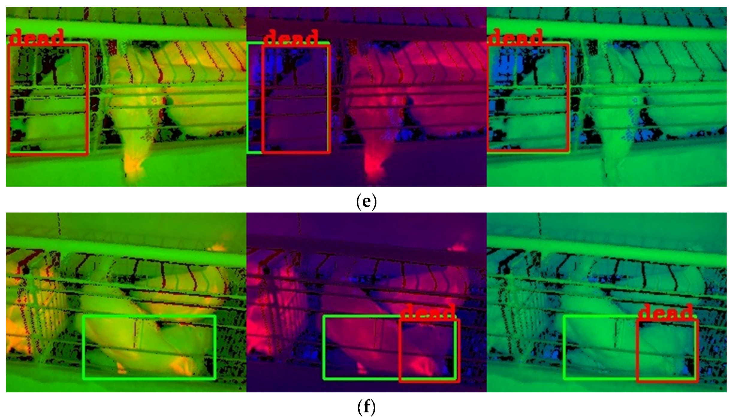 Animals 13 01861 g009b