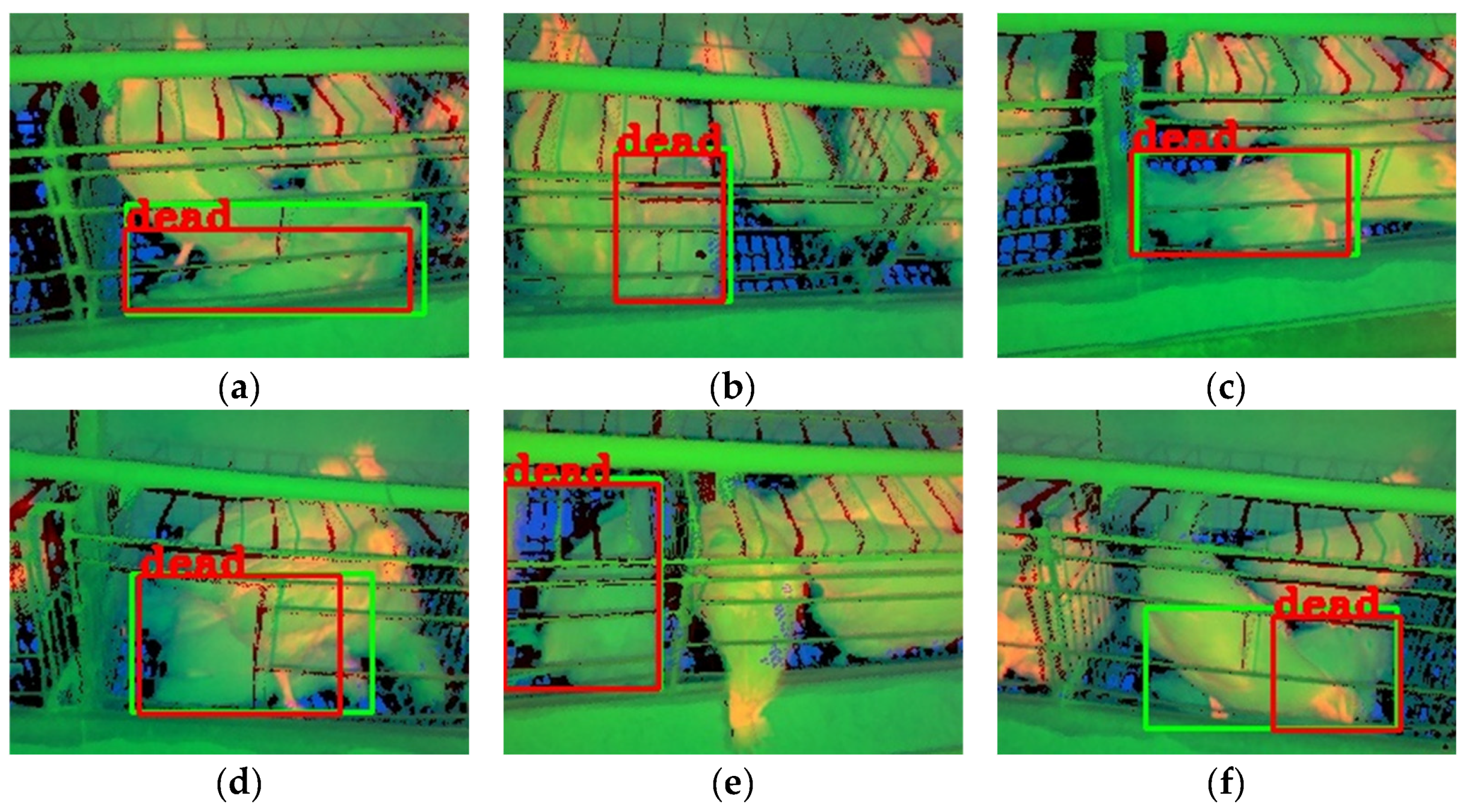 Animals 13 01861 g010