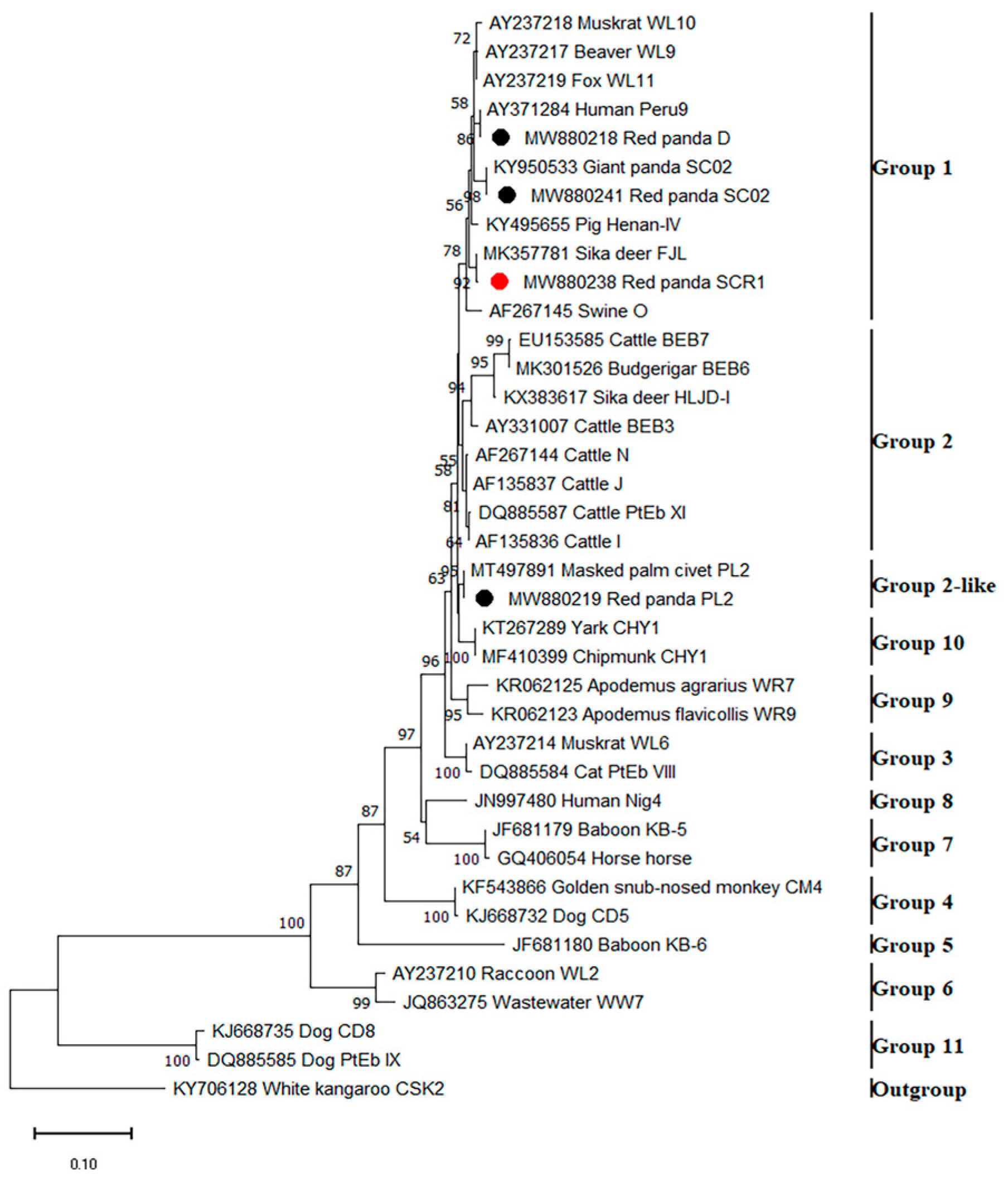 Animals 13 01864 g002 Animals 13 01864 g002