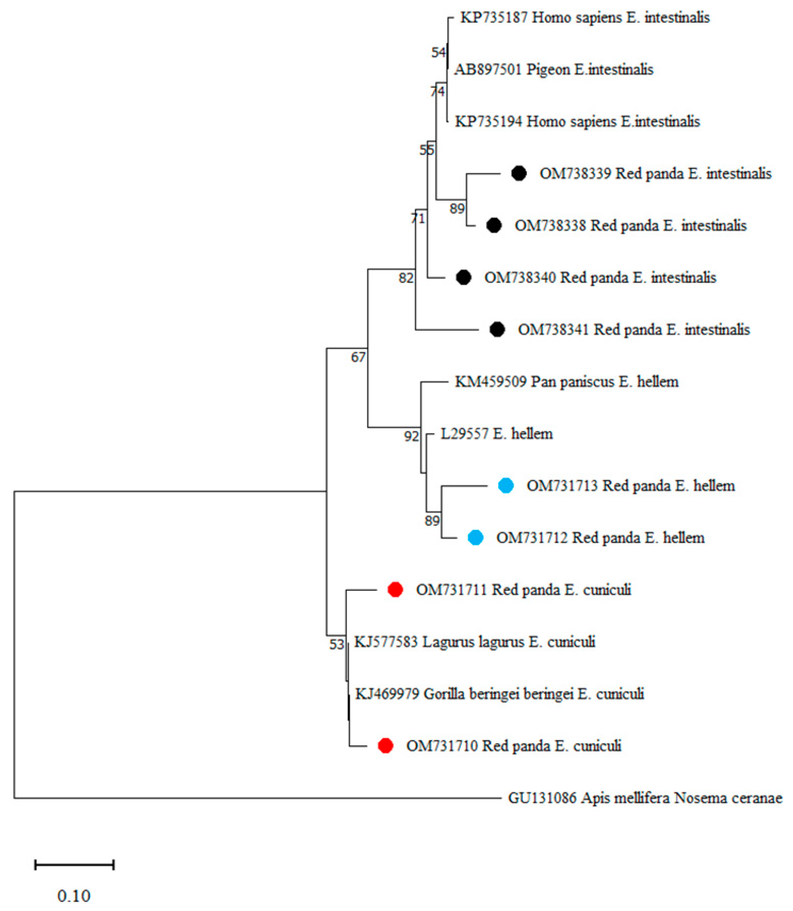Animals 13 01864 g003 Animals 13 01864 g003