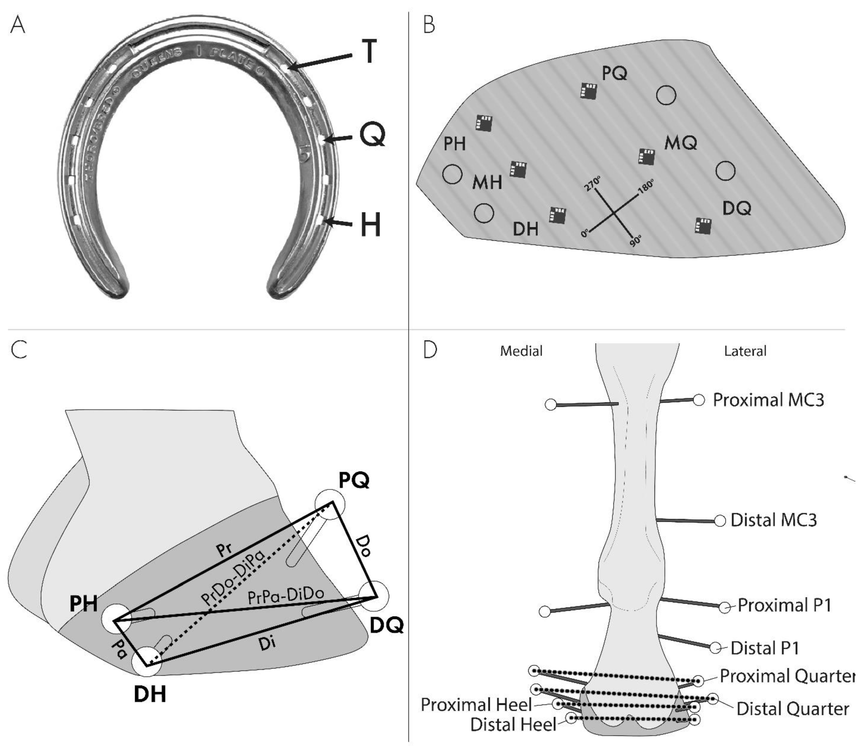 Animals 13 01872 g001 Animals 13 01872 g001