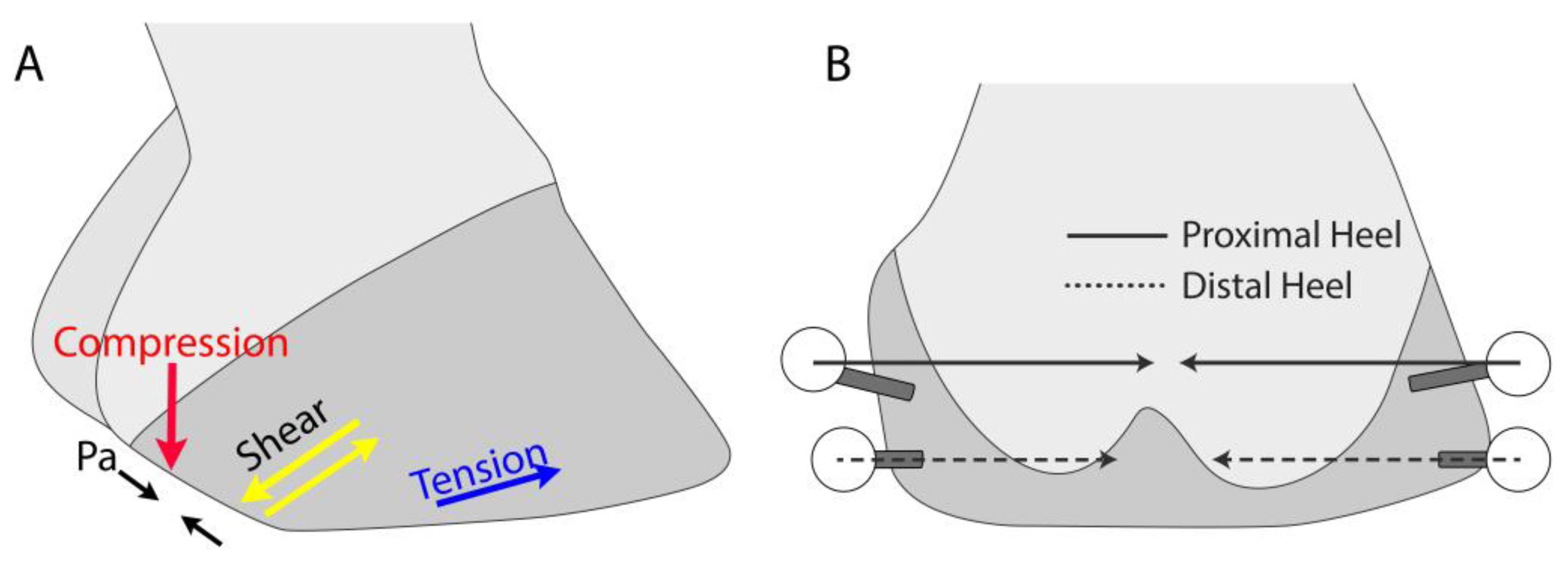 Animals 13 01872 g003 Animals 13 01872 g003
