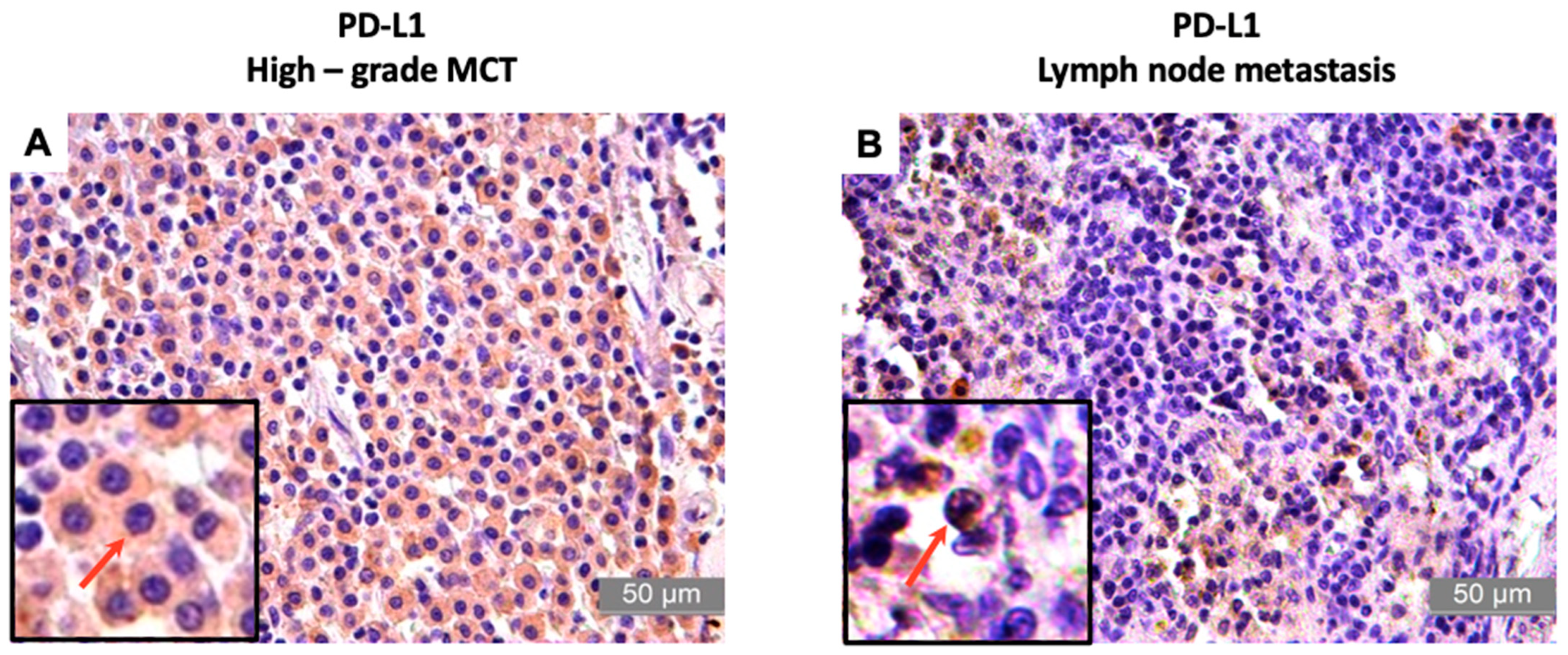 Animals 13 01888 g001 Animals 13 01888 g001