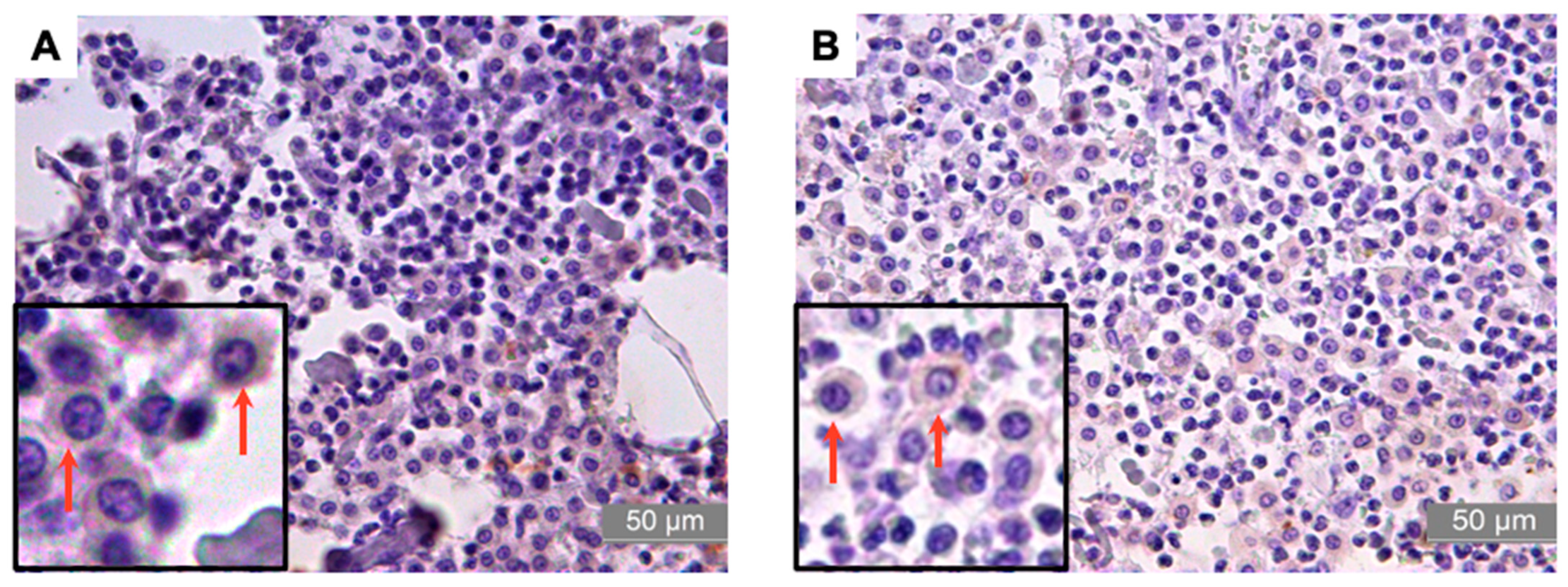 Animals 13 01888 g003 Animals 13 01888 g003