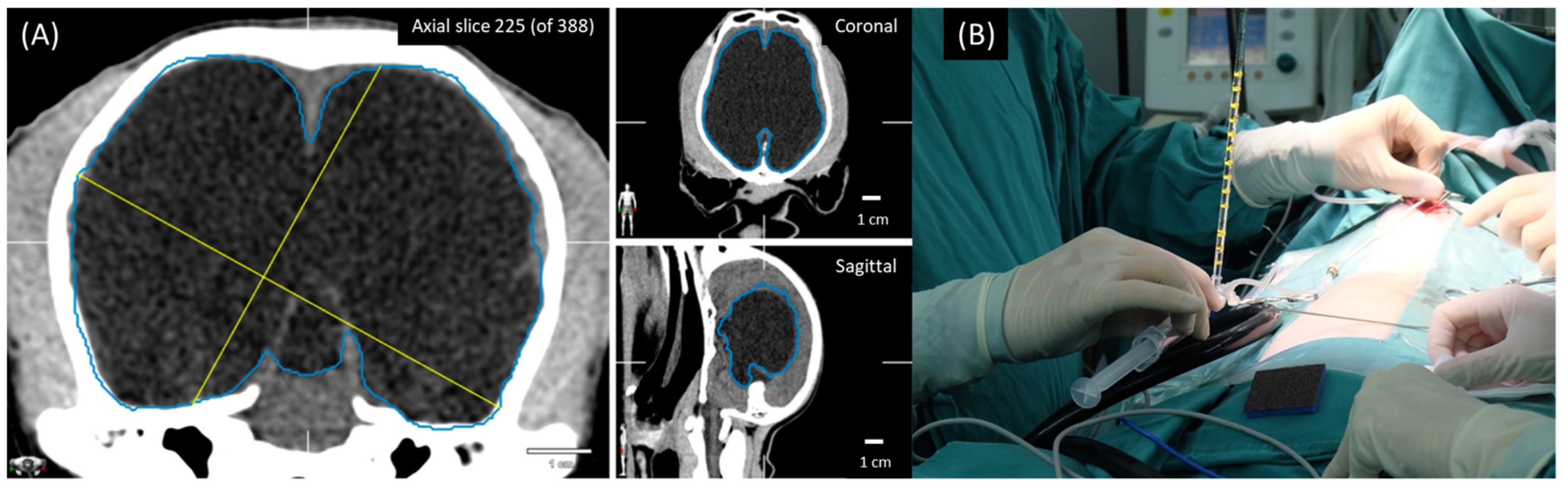 Animals 13 01890 g002