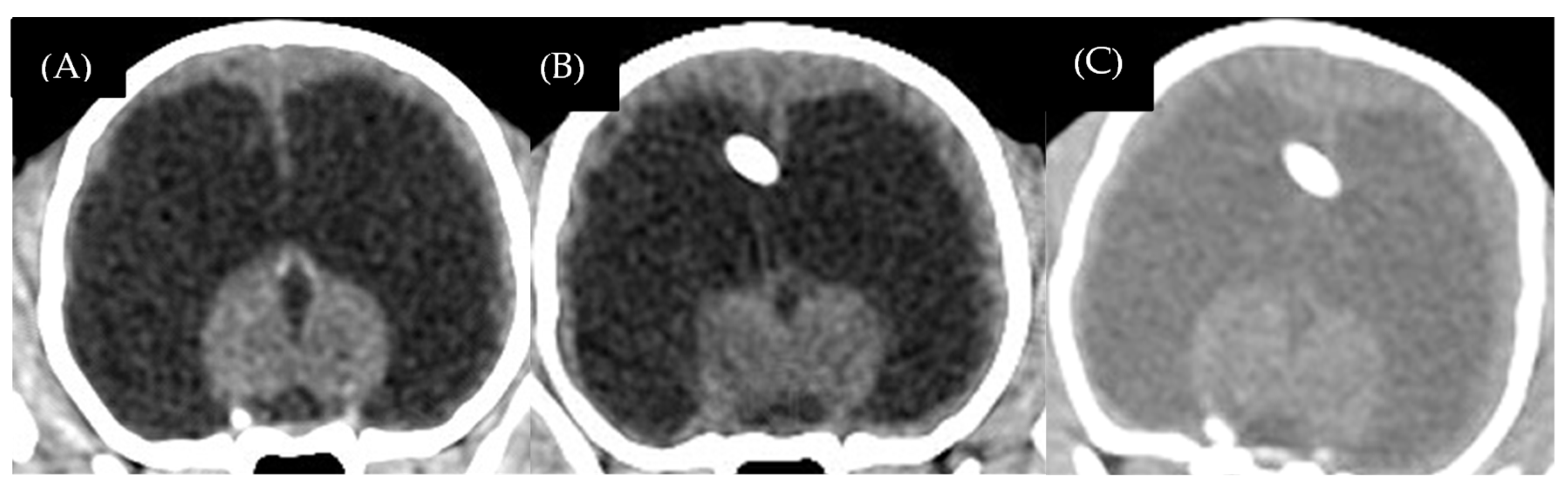 Animals 13 01890 g007