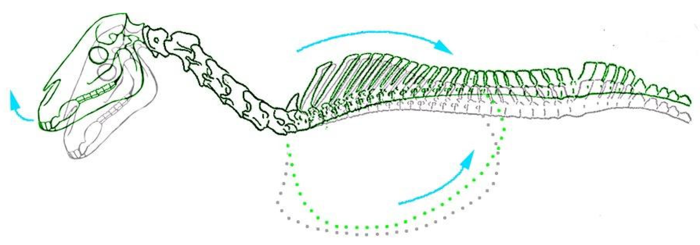 Animals 13 01894 g002