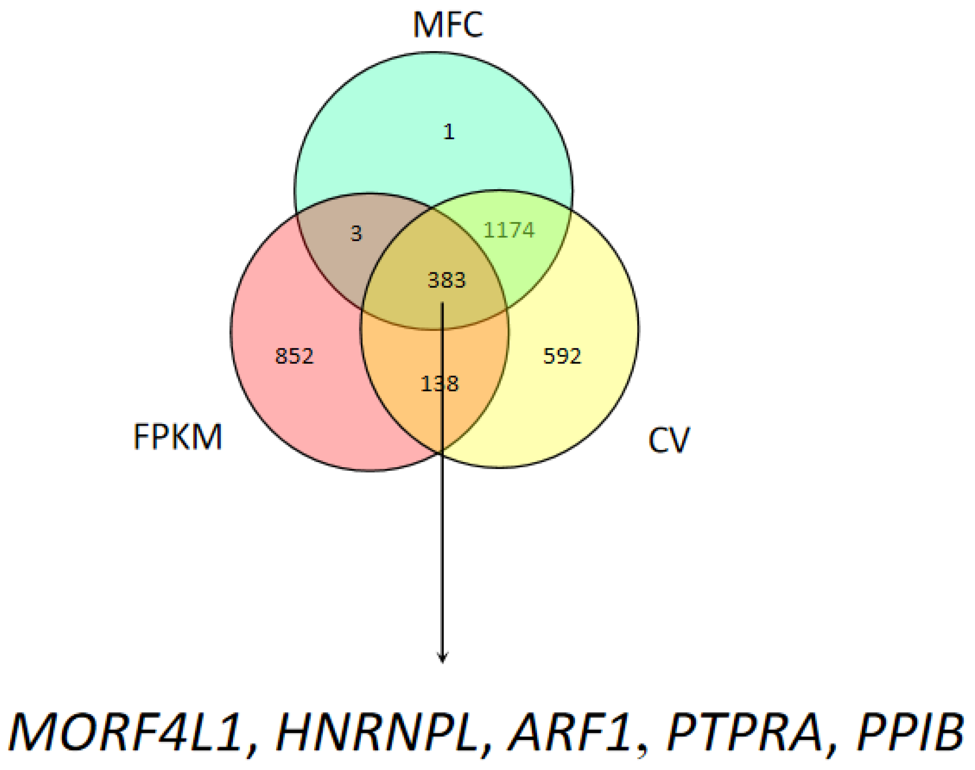 Animals 13 01897 g002 Animals 13 01897 g002