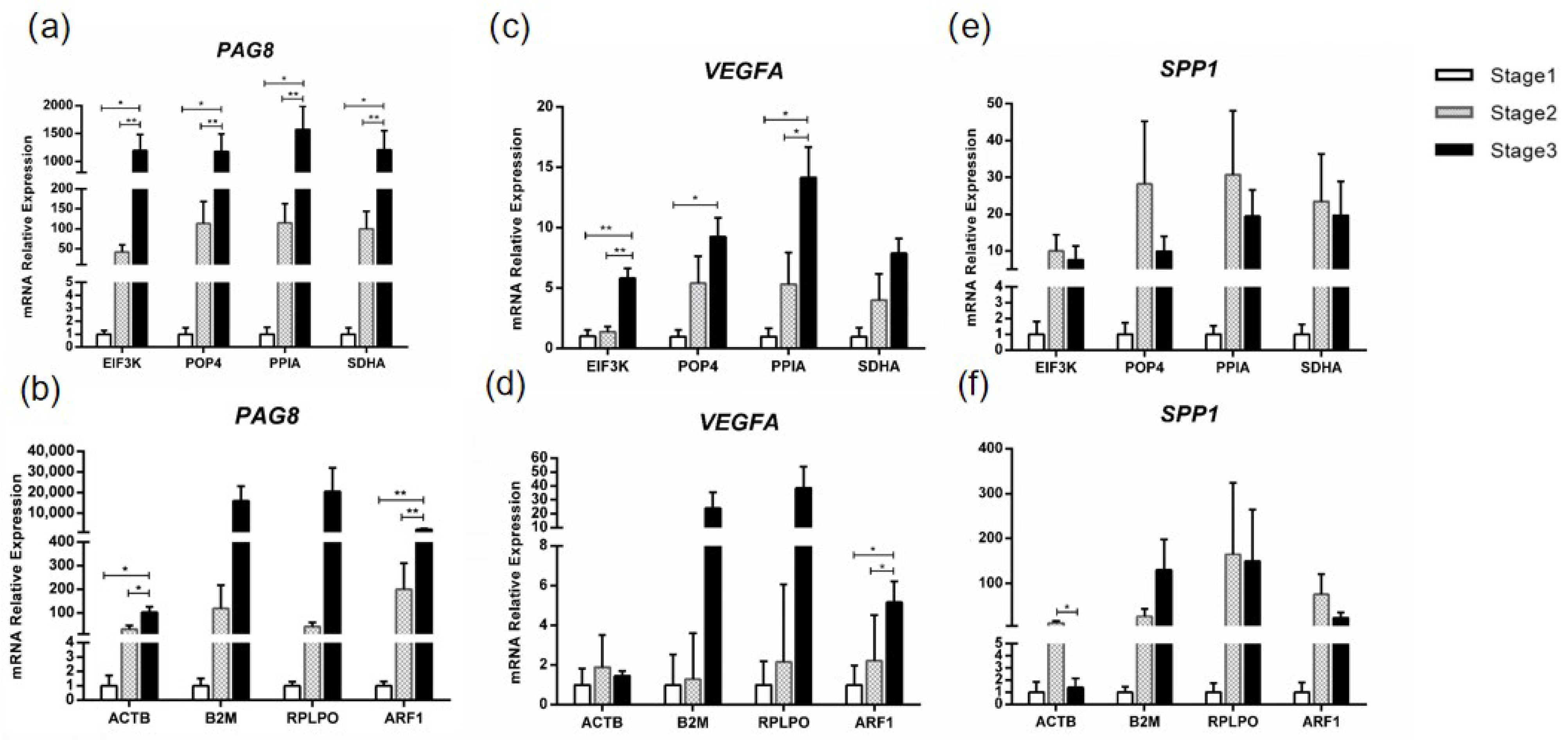 Animals 13 01897 g004 Animals 13 01897 g004