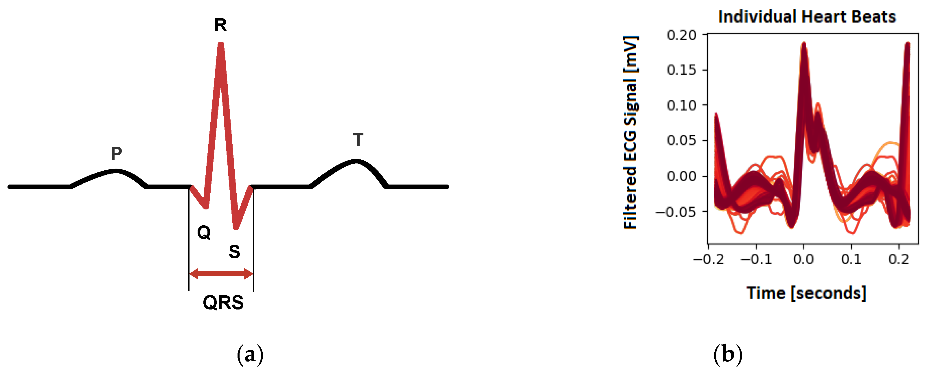 Animals 13 01901 g006