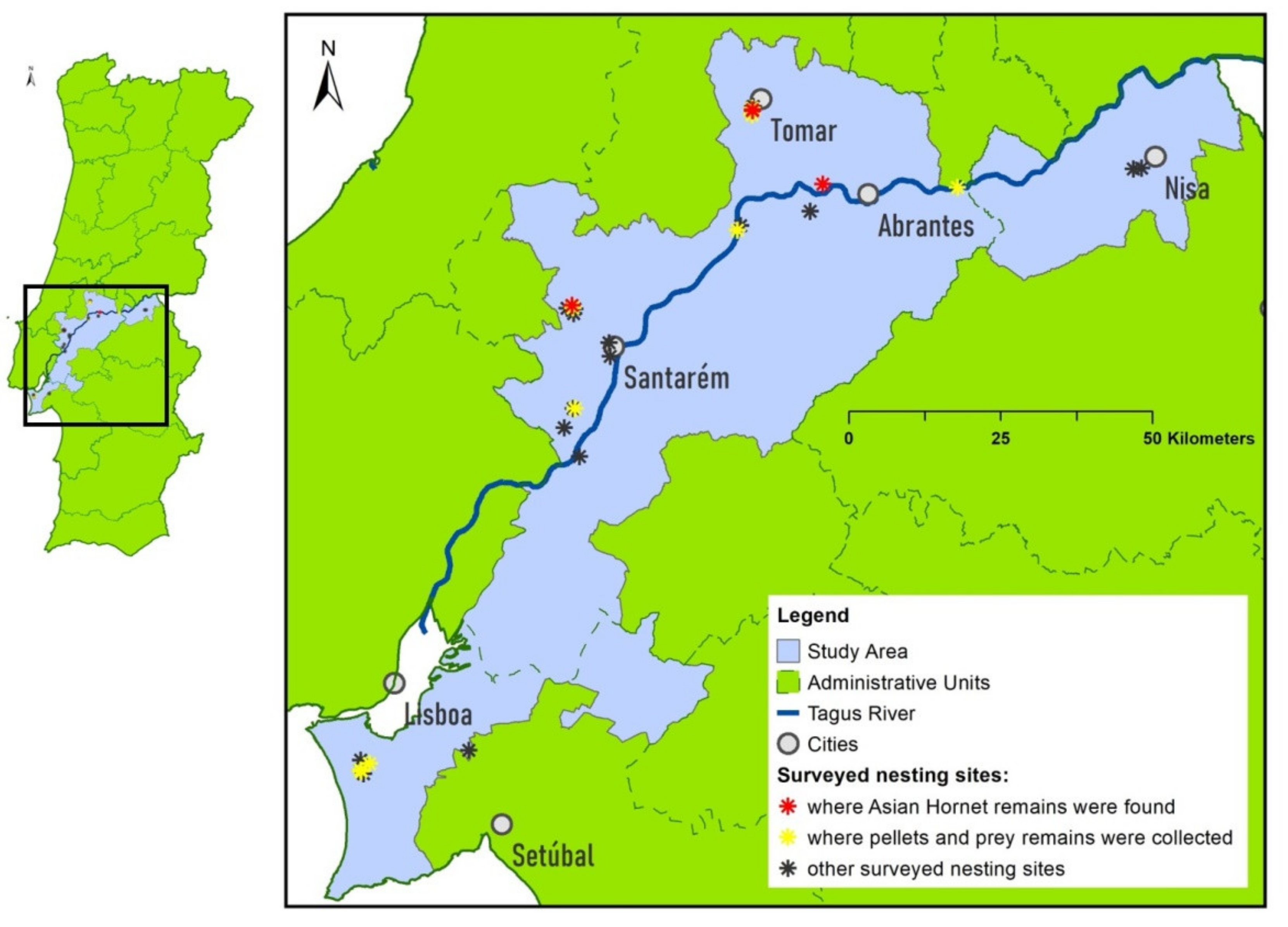 Animals 13 01906 g002 Animals 13 01906 g002